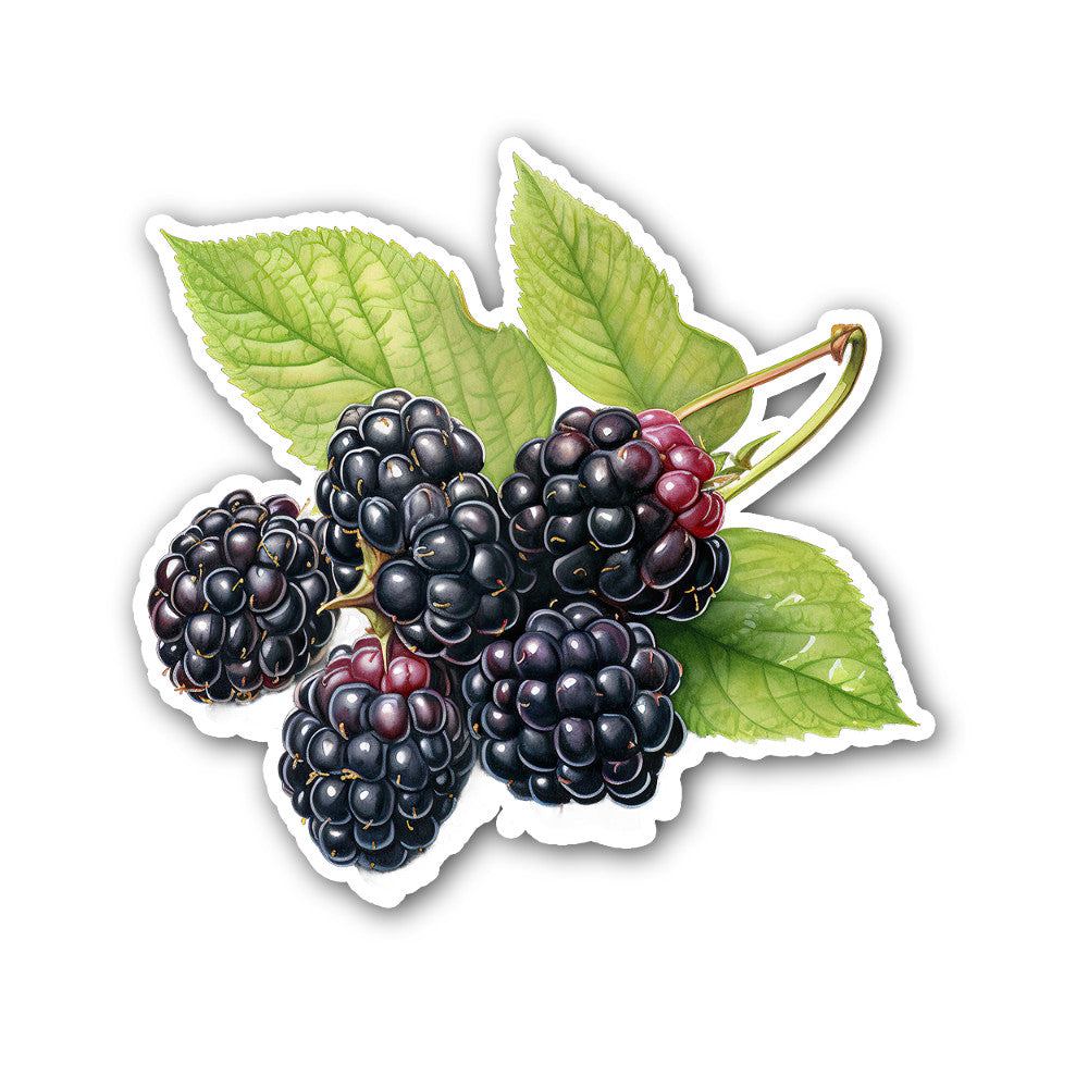 Blackberry Sticker, Waterproof Vinyl Decal Sticker Indoor Or Outdoor 2 (Pieces) 3" and 5"