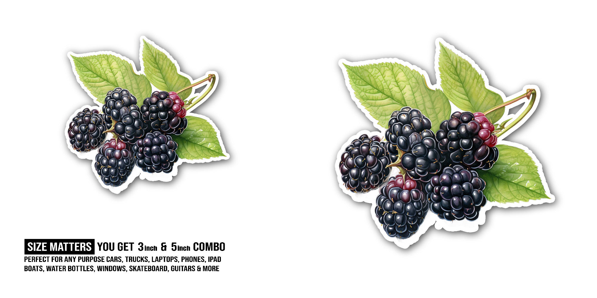 Blackberry Sticker, Waterproof Vinyl Decal Sticker Indoor Or Outdoor 2 (Pieces) 3" and 5"