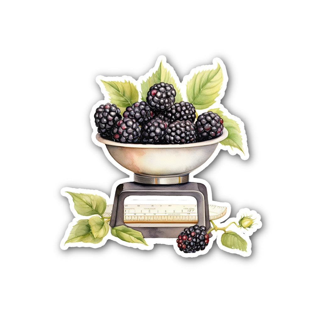 Cute Blackberries Sticker, Waterproof Vinyl Decal Sticker Indoor Or Outdoor 2 (Pieces) 3" and 5"