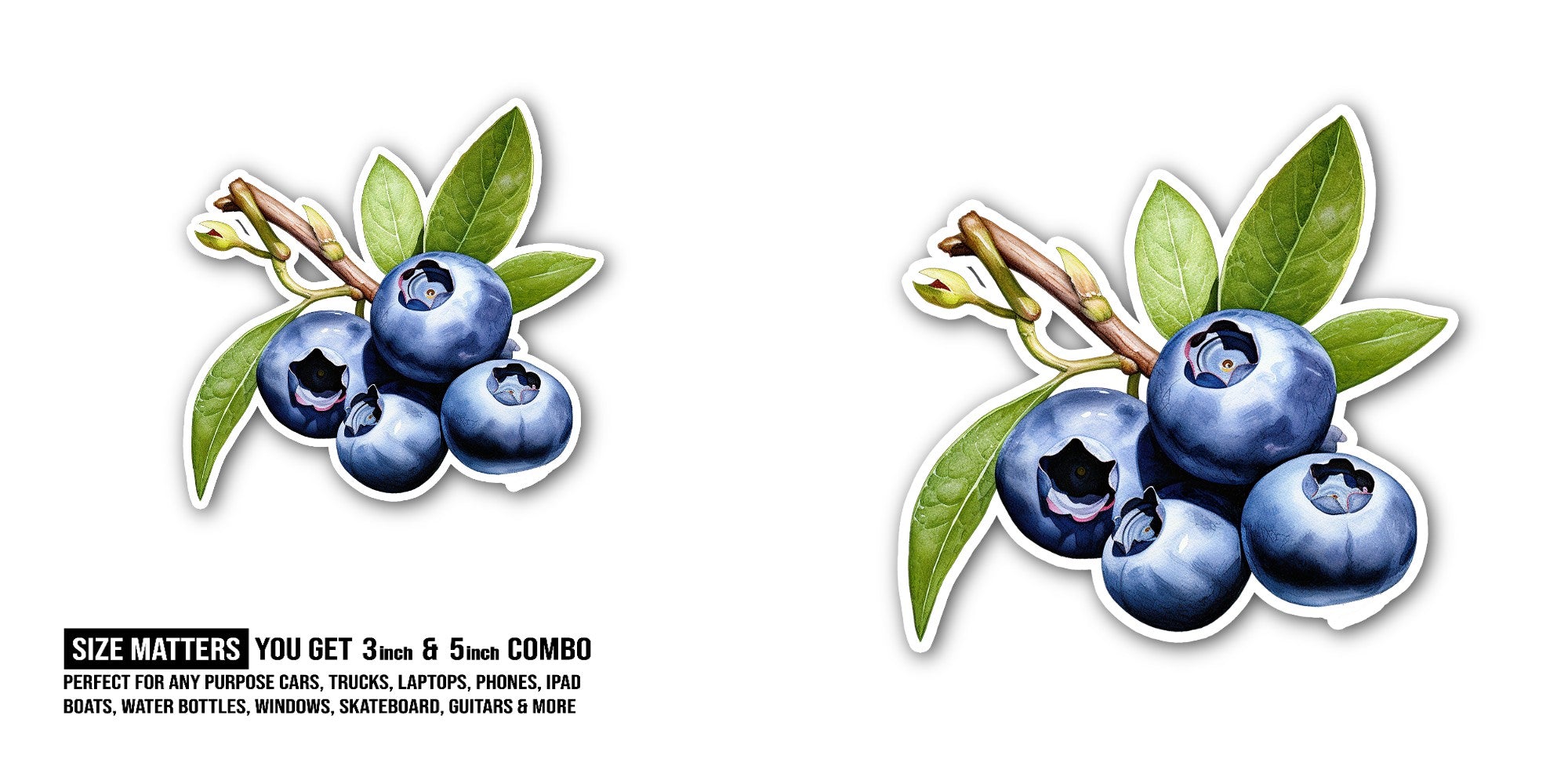 Blueberry with leaves Sticker, Waterproof Vinyl Decal Sticker Indoor Or Outdoor 2 (Pieces) 3" and 5"