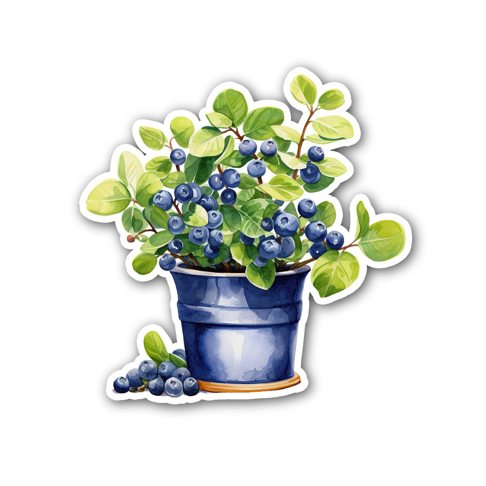 Blueberry basket Sticker, Waterproof Vinyl Decal Sticker Indoor Or Outdoor 2 (Pieces) 3" and 5"