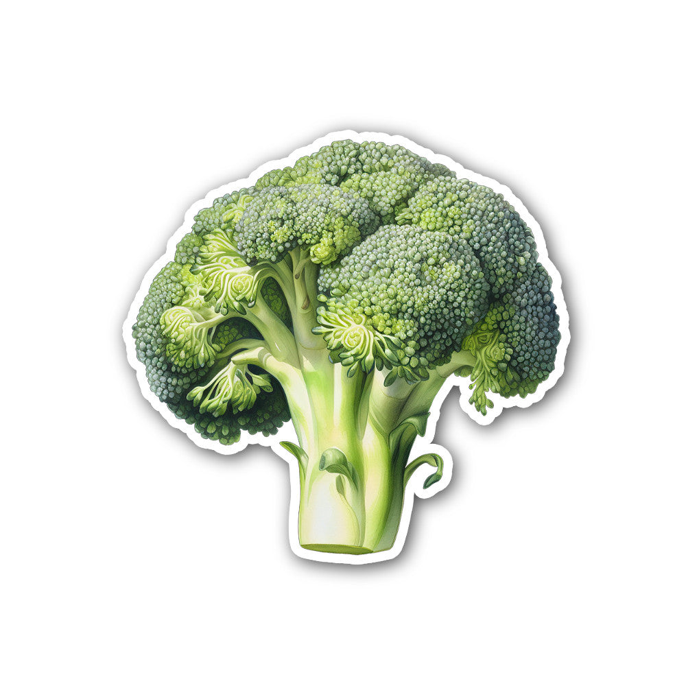 Cute brroccoli Sticker, Waterproof Vinyl Decal Sticker Indoor Or Outdoor 2 (Pieces) 3" and 5"