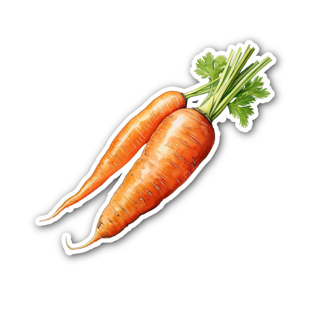 Carrots  Sticker, Waterproof Vinyl Decal Sticker Indoor Or Outdoor 2 (Pieces) 3" and 5"