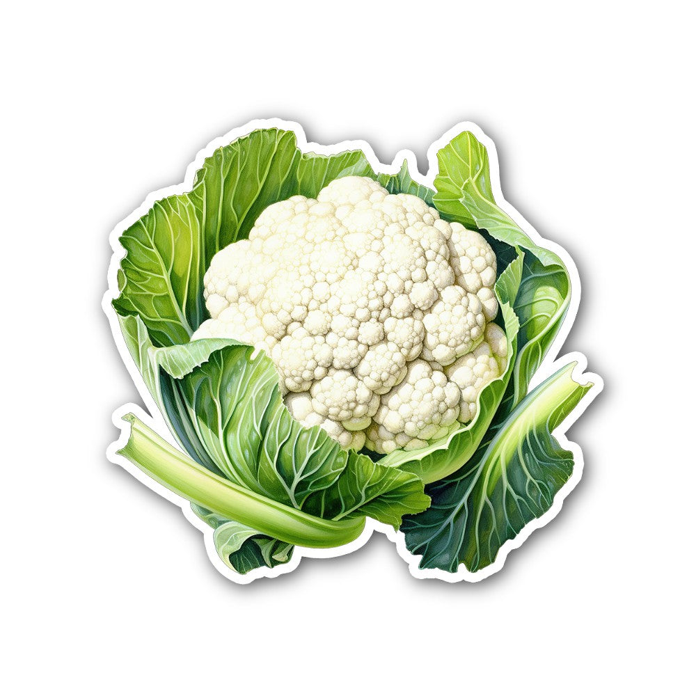 Cauliflower Sticker, Waterproof Vinyl Decal Sticker Indoor Or Outdoor 2 (Pieces) 3" and 5"