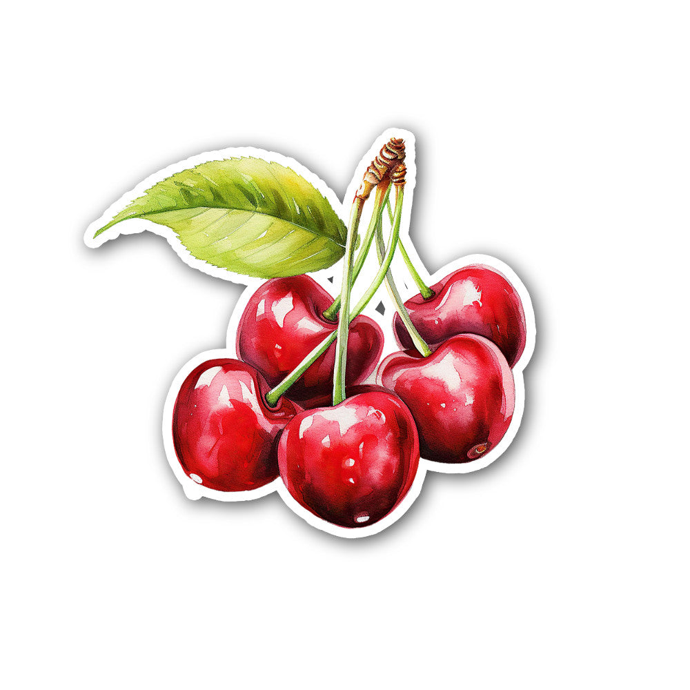 Vibrant Cherry Sticker, Waterproof Vinyl Decal Sticker Indoor Or Outdoor 2 (Pieces) 3" and 5"