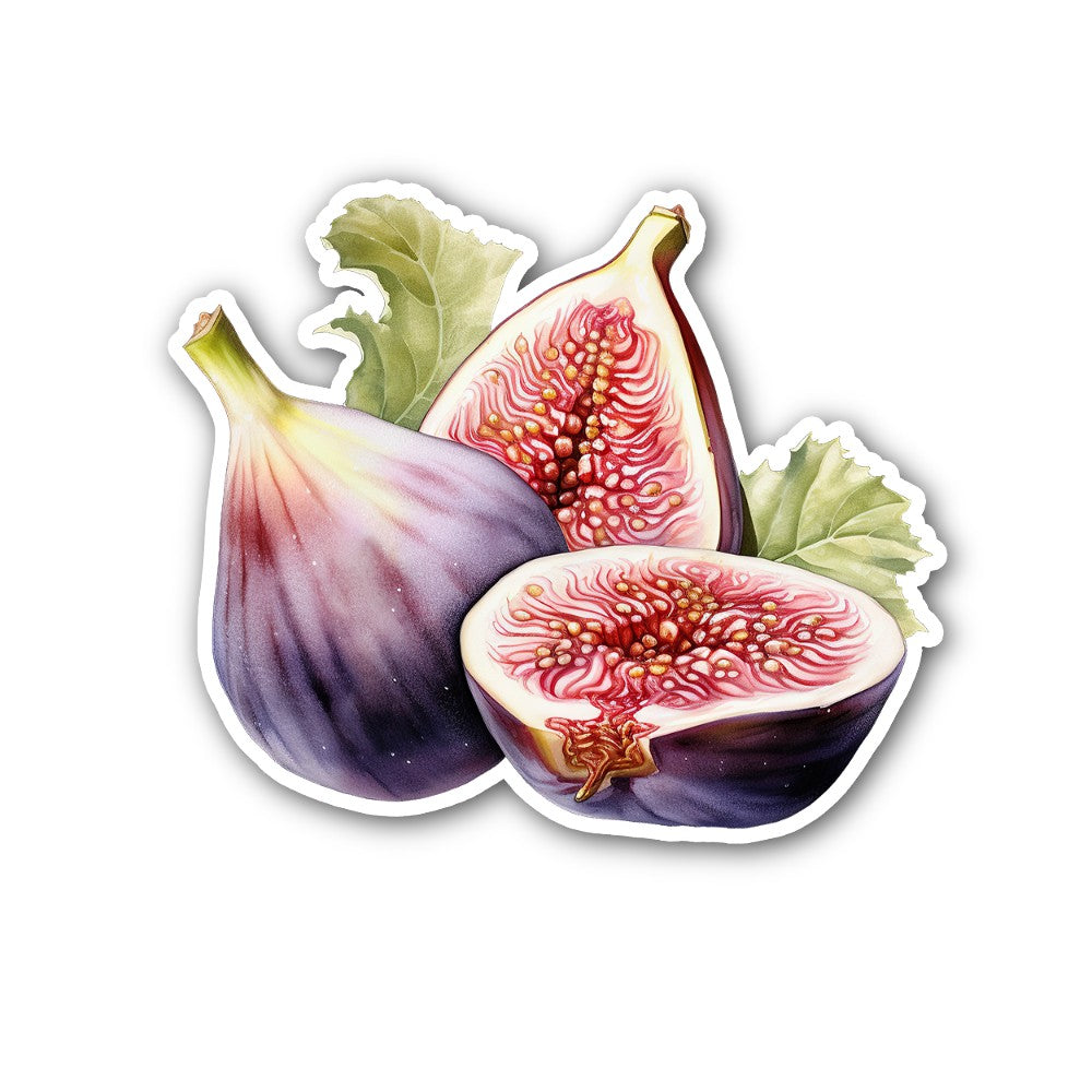 Figs Sticker, Waterproof Vinyl Decal Sticker Indoor Or Outdoor 2 (Pieces) 3" and 5"