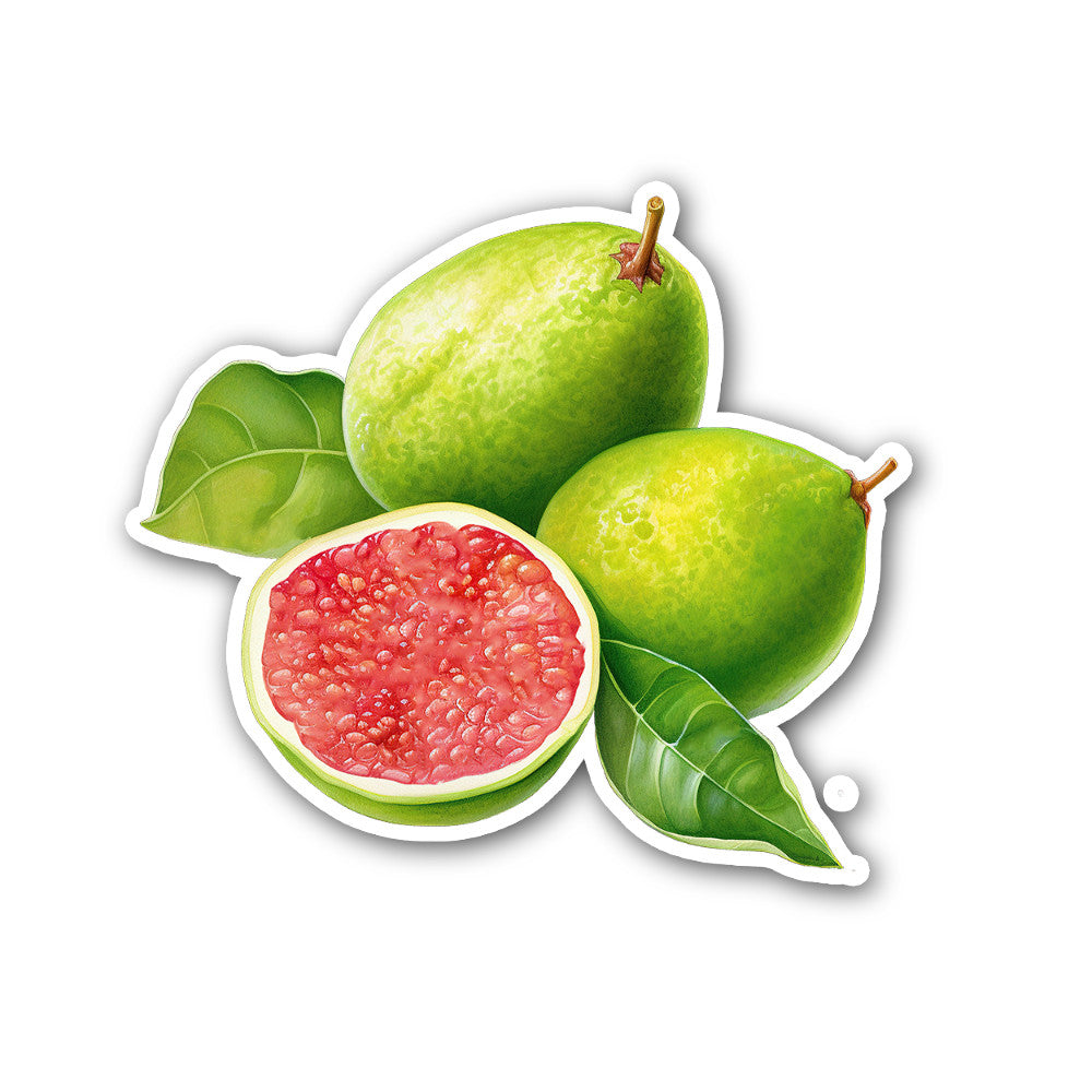 Green guava Sticker, Waterproof Vinyl Decal Sticker Indoor Or Outdoor 2 (Pieces) 3" and 5"