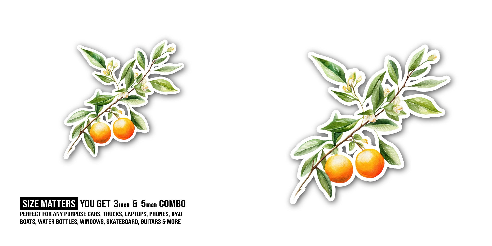 A branch of a orange Sticker, Waterproof Vinyl Decal Sticker Indoor Or Outdoor 2 (Pieces) 3" and 5"