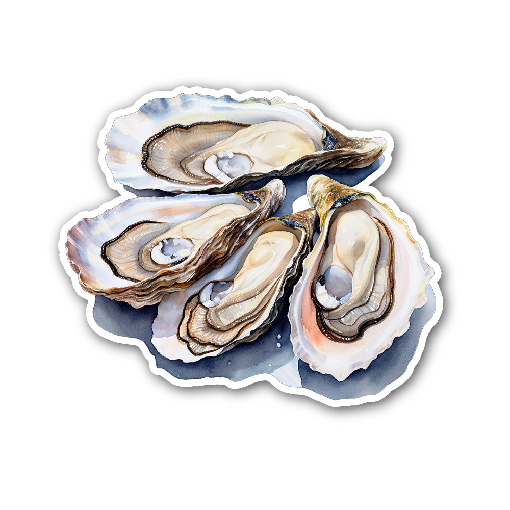 Oyster shell Sticker, Waterproof Vinyl Decal Sticker Indoor Or Outdoor 2 (Pieces) 3" and 5"
