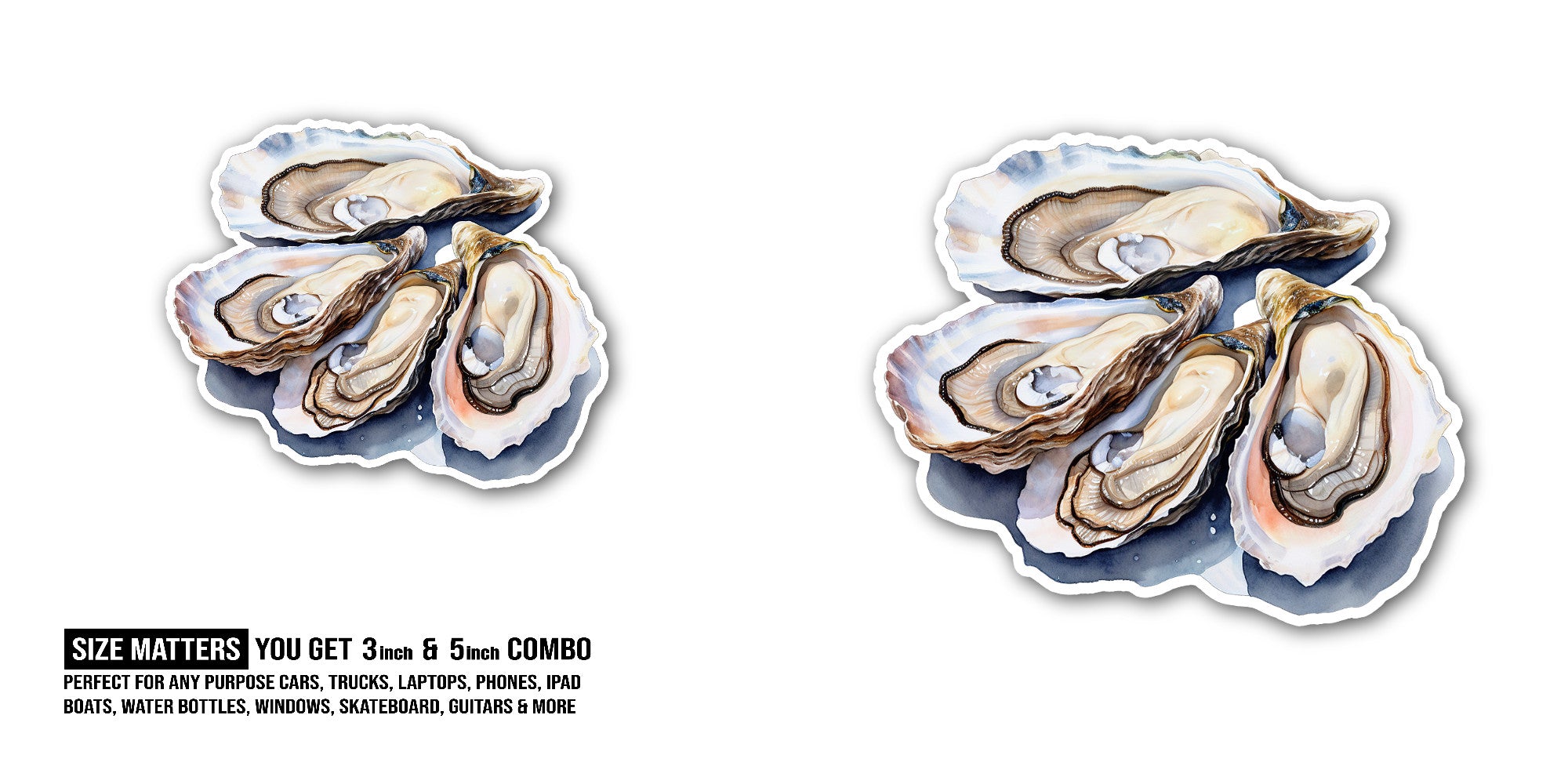 Oyster shell Sticker, Waterproof Vinyl Decal Sticker Indoor Or Outdoor 2 (Pieces) 3" and 5"