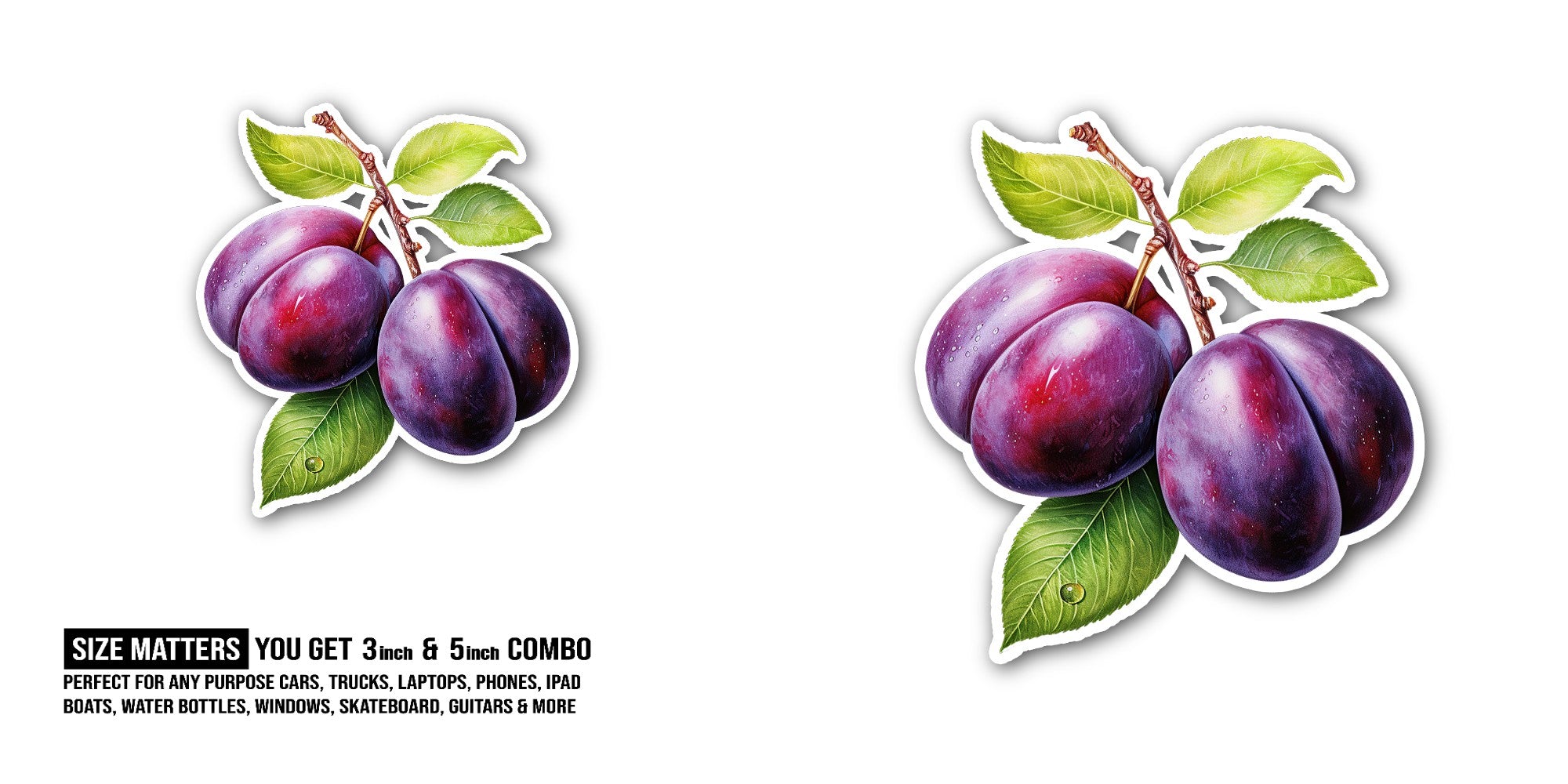 Plum Sticker, Waterproof Vinyl Decal Sticker Indoor Or Outdoor 2 (Pieces) 3" and 5"