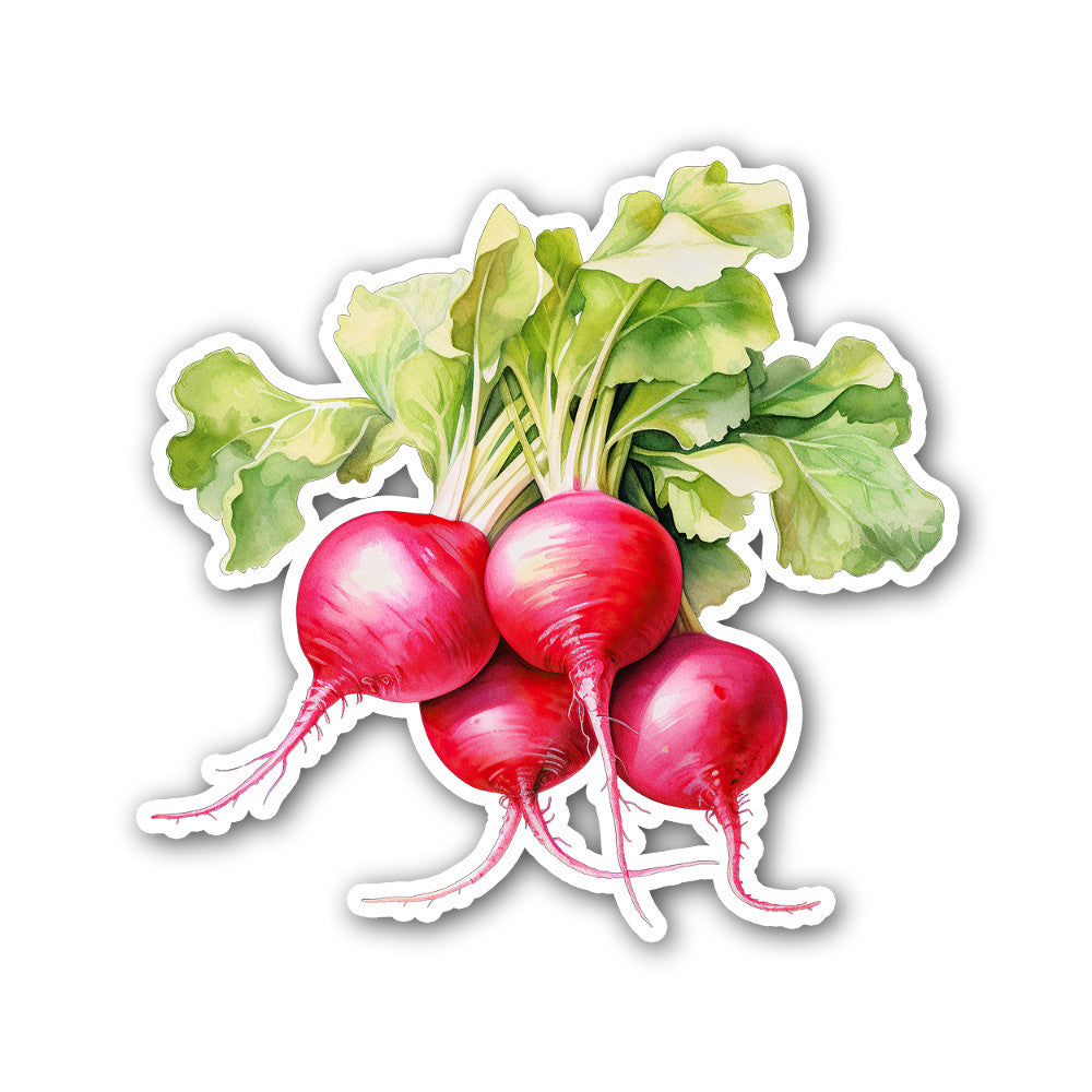 Radish Sticker, Waterproof Vinyl Decal Sticker Indoor Or Outdoor 2 (Pieces) 3" and 5"