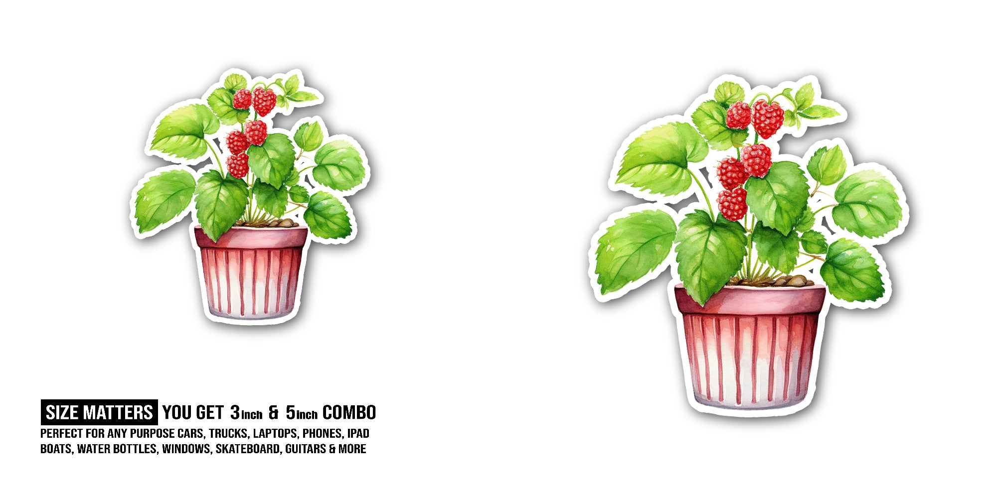 Cute Raspberry Plants Sticker, Waterproof Vinyl Decal Sticker Indoor Or Outdoor 2 (Pieces) 3" and 5"