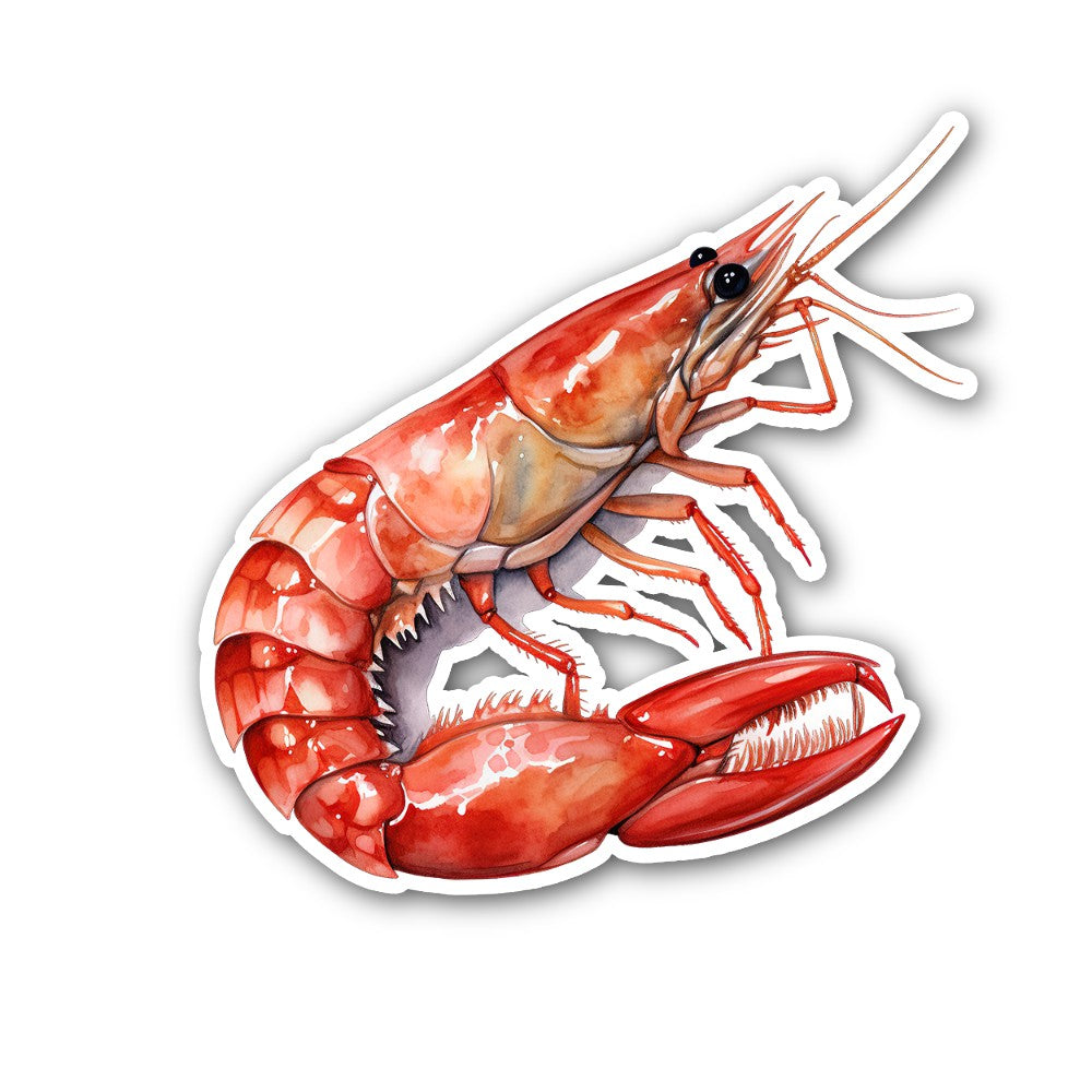 Cute Shrimp Sticker, Waterproof Vinyl Decal Sticker Indoor Or Outdoor 2 (Pieces) 3" and 5"