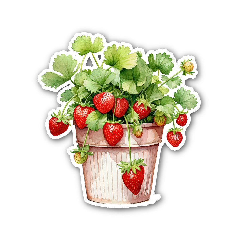 Strawberry Plants Sticker, Waterproof Vinyl Decal Sticker Indoor Or Outdoor 2 (Pieces) 3" and 5"