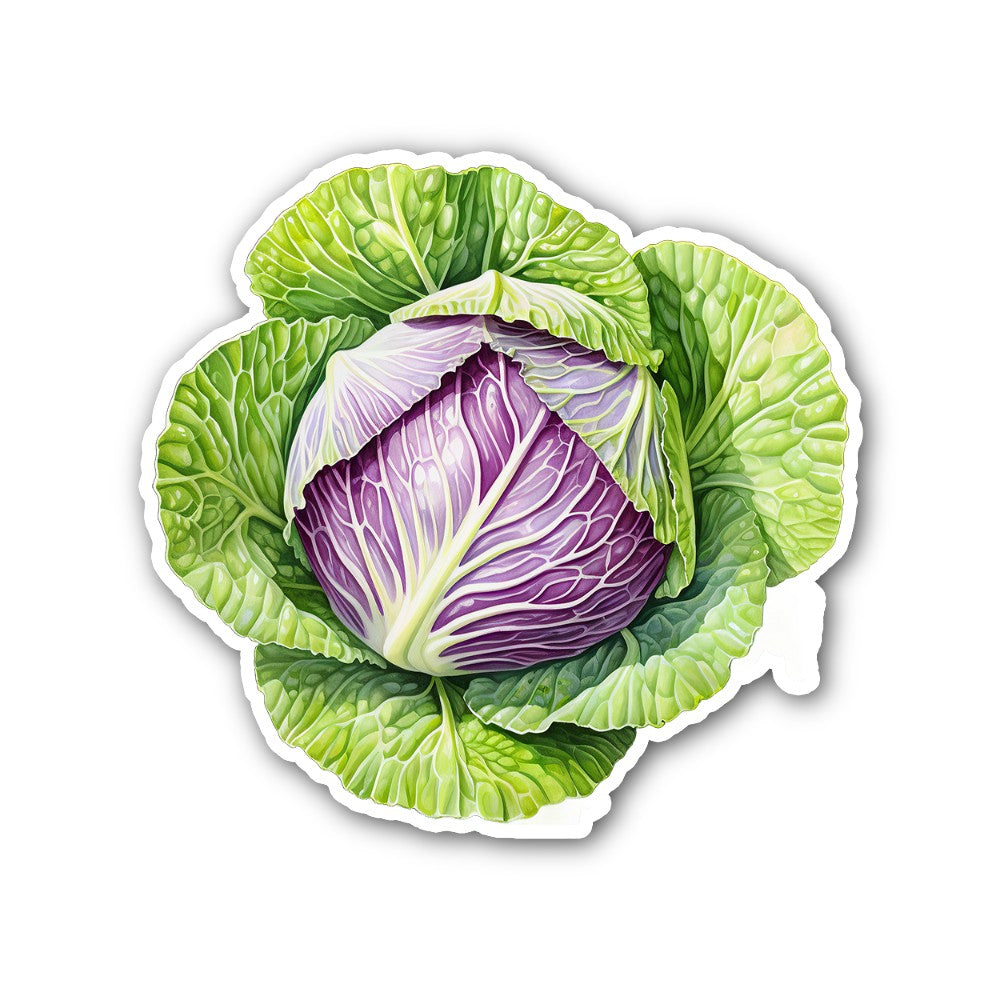 purple cabbage Sticker, Waterproof Vinyl Decal Sticker Indoor Or Outdoor 2 (Pieces) 3" and 5"