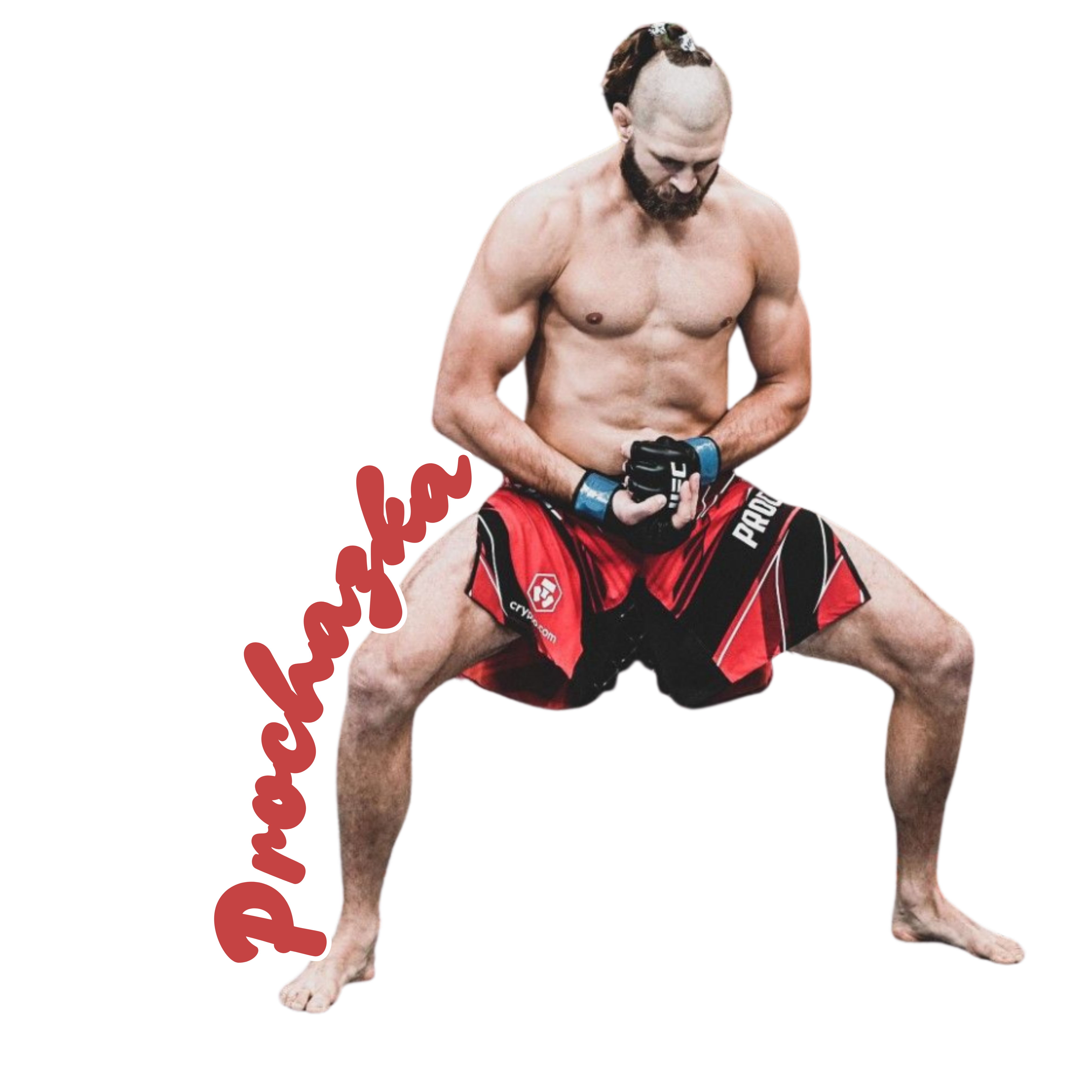 Martial Artist - Aesthetic Vinyl Sticker – Waterproof Quote Decal Sticker for Laptop, Water Bottle, 
