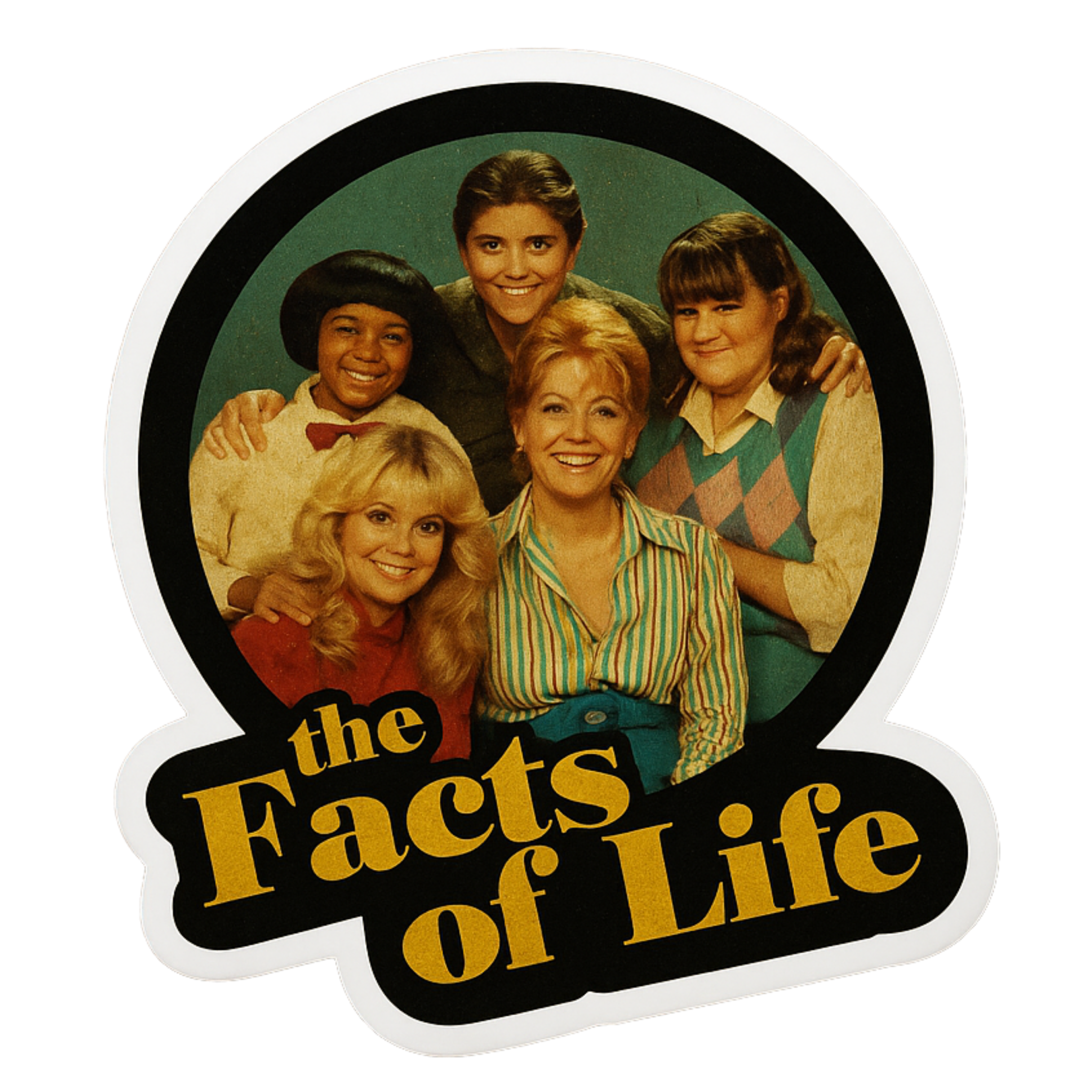 The Facts Of Life - Aesthetic Vinyl Sticker – Waterproof Quote Decal Sticker for Laptop, Water Bottl