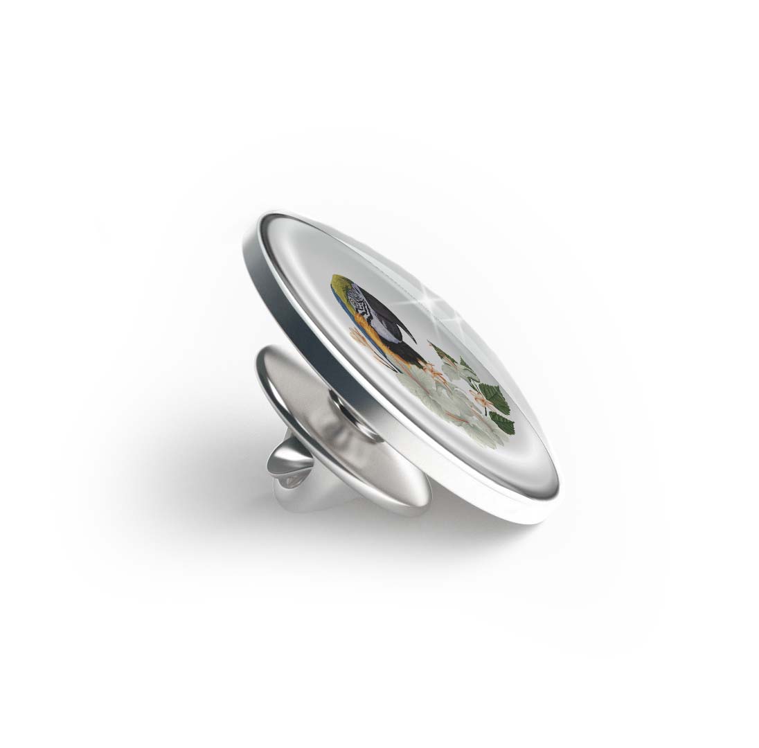 Macaw tropical Limited Edition Lapel Pin Exclusive Metal Brooch Badge Accessories For Backpack, Clothes, Hats | Cute Gifts and Collectibles