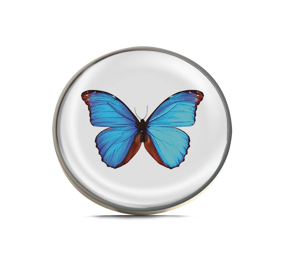 A blue morpho butterfly Limited Edition Lapel Pin Exclusive Metal Brooch Badge Accessories For Backpack, Clothes, Hats | Cute Gifts and Collectibles
