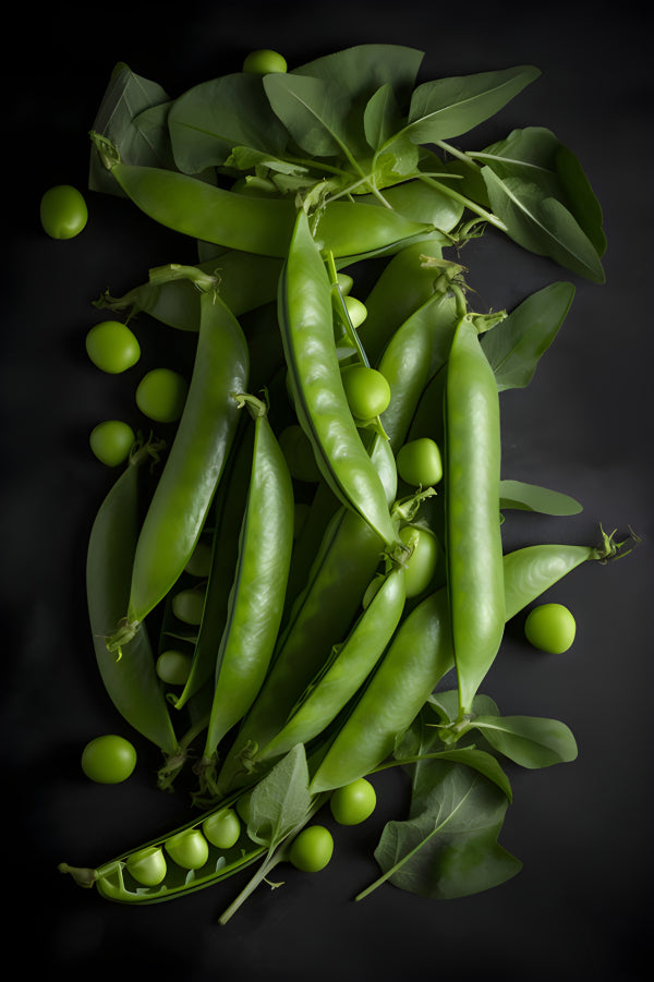 Vinyl Decal, Fresh Green Pea Pods Botanical Kitchen Wall Art Poster Print Unframed
