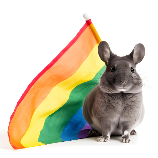 Vinyl Decal, Cute Gray Chinchilla Pet with Rainbow (5" x 7")