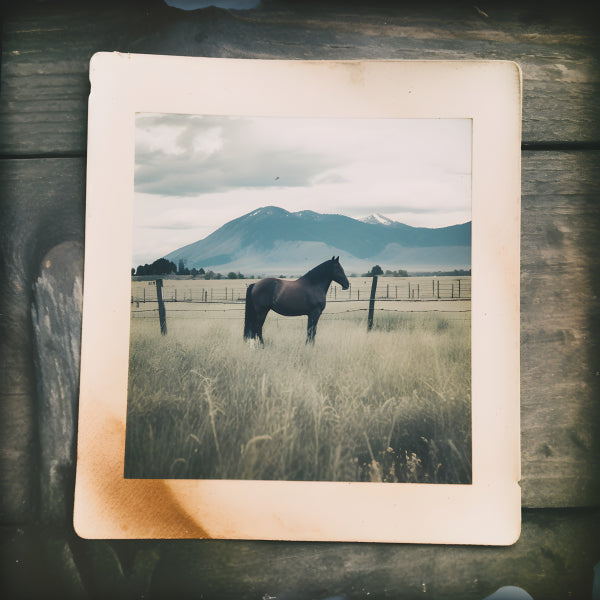 Vinyl Decal, Vintage Polaroid Style Photo Print of a Bay Horse in a Grassy Field with Mountains (5" 