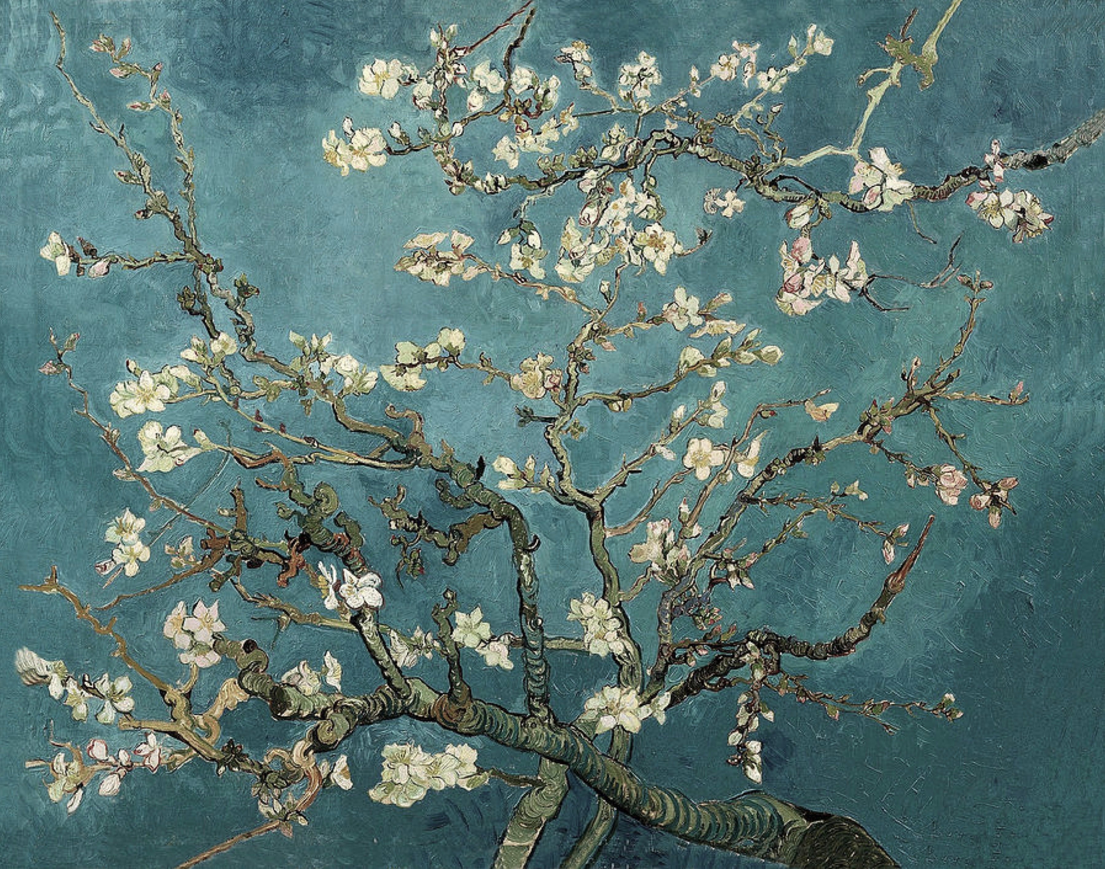 Vinyl Decal, Beautiful Floral Wall Art Print Branches with White Flowers Against a Teal Blue Sky Art