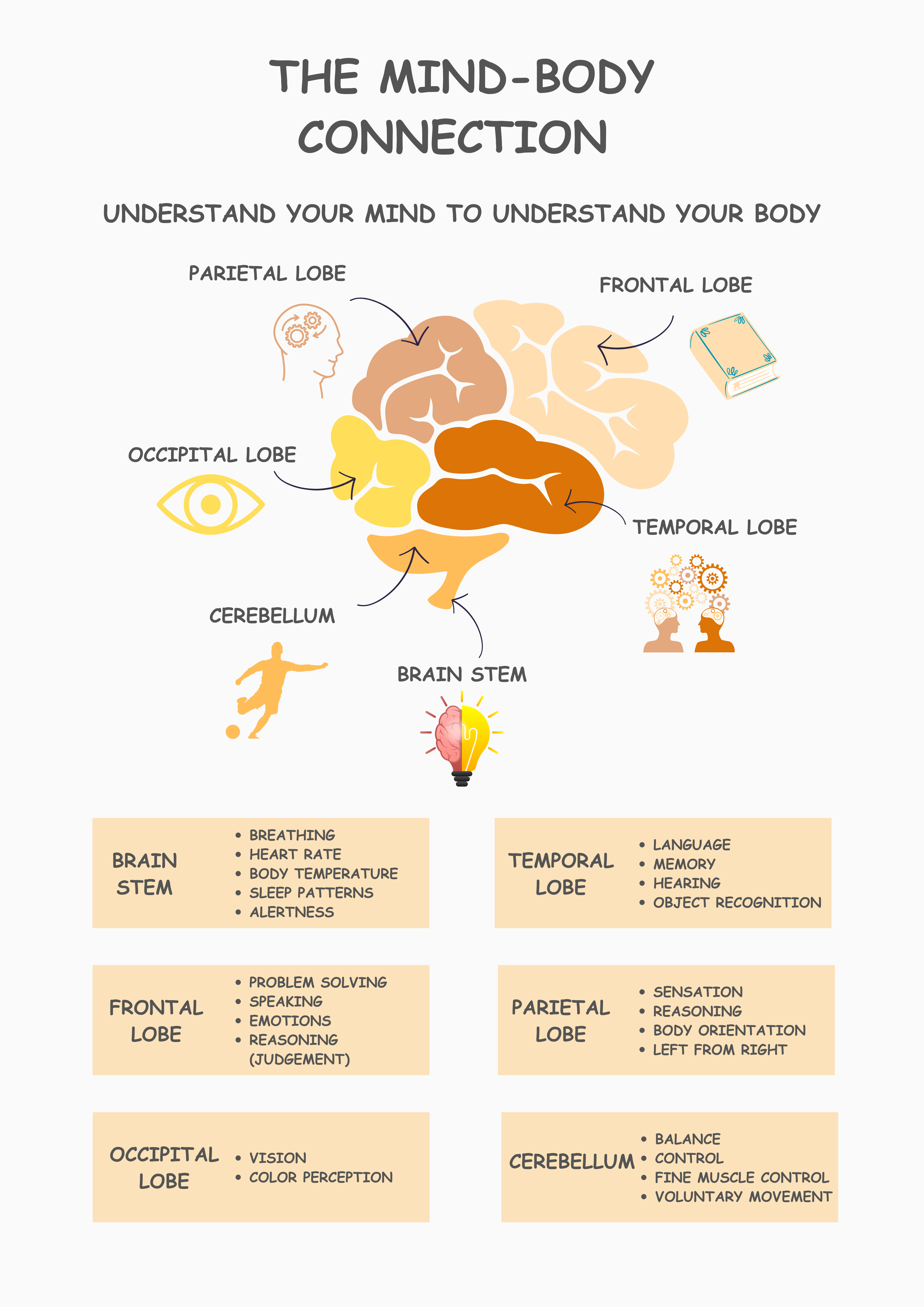 Vinyl Decal, Understanding the Brain's Functional Areas and the Mind-Body Connection (5" x 7")
