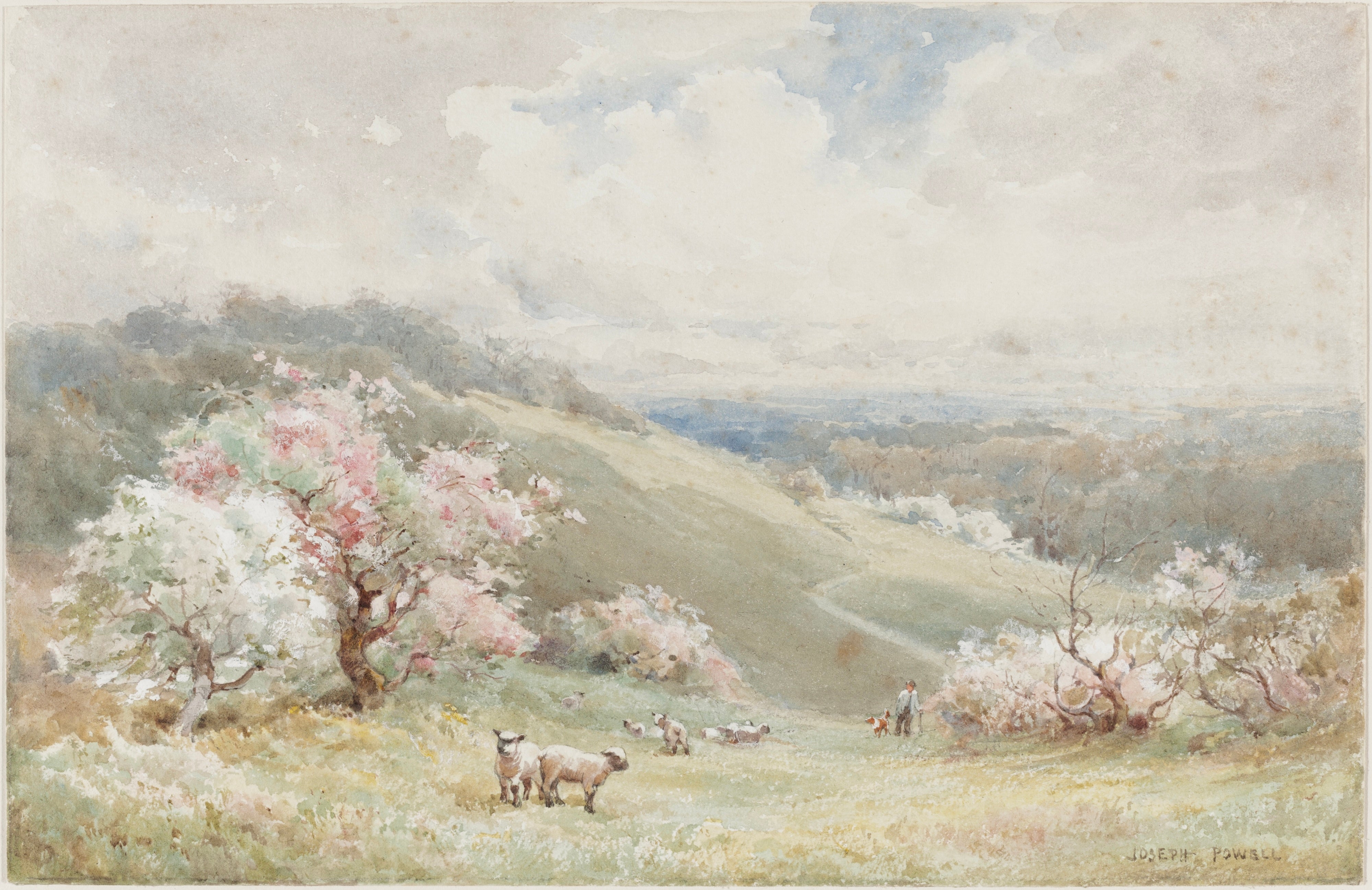 Vinyl Decal, Spring Print Vintage Wall Art English Countryside Watercolor Painting Sheep Lamb Farmho