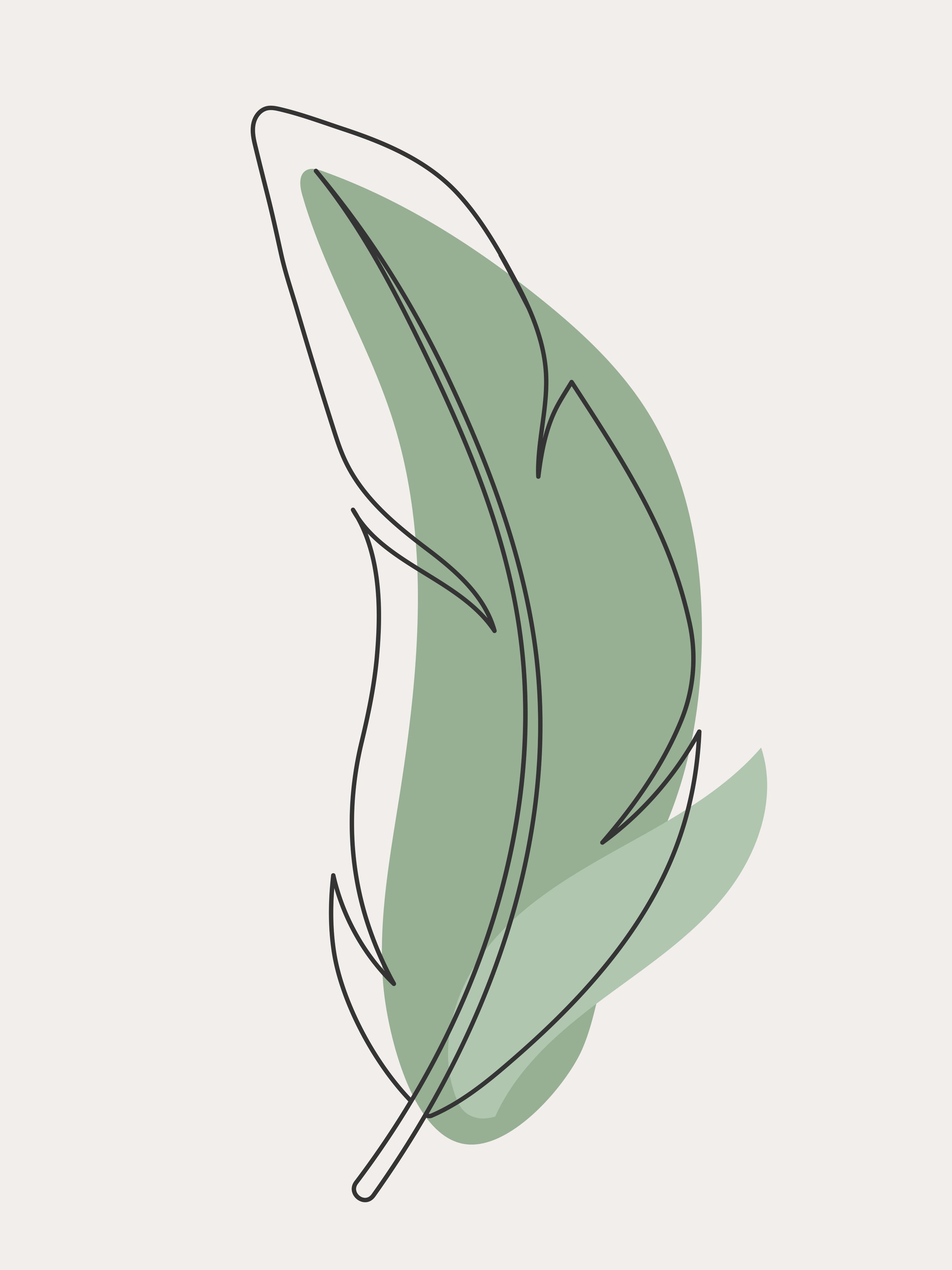 Vinyl Decal, Green Leaf Illustration (5" x 7")