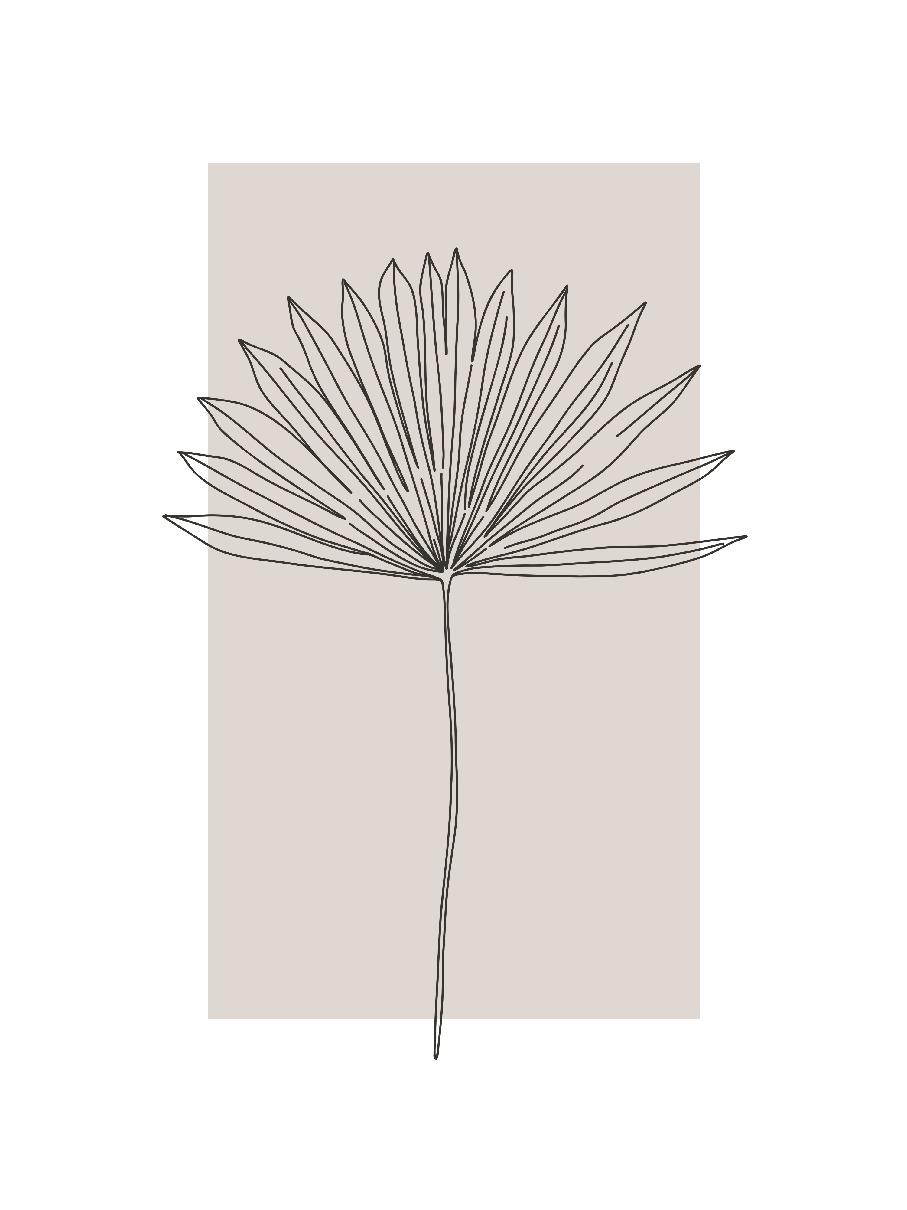 Vinyl Decal, Palm Leaf Line Art (5" x 7")