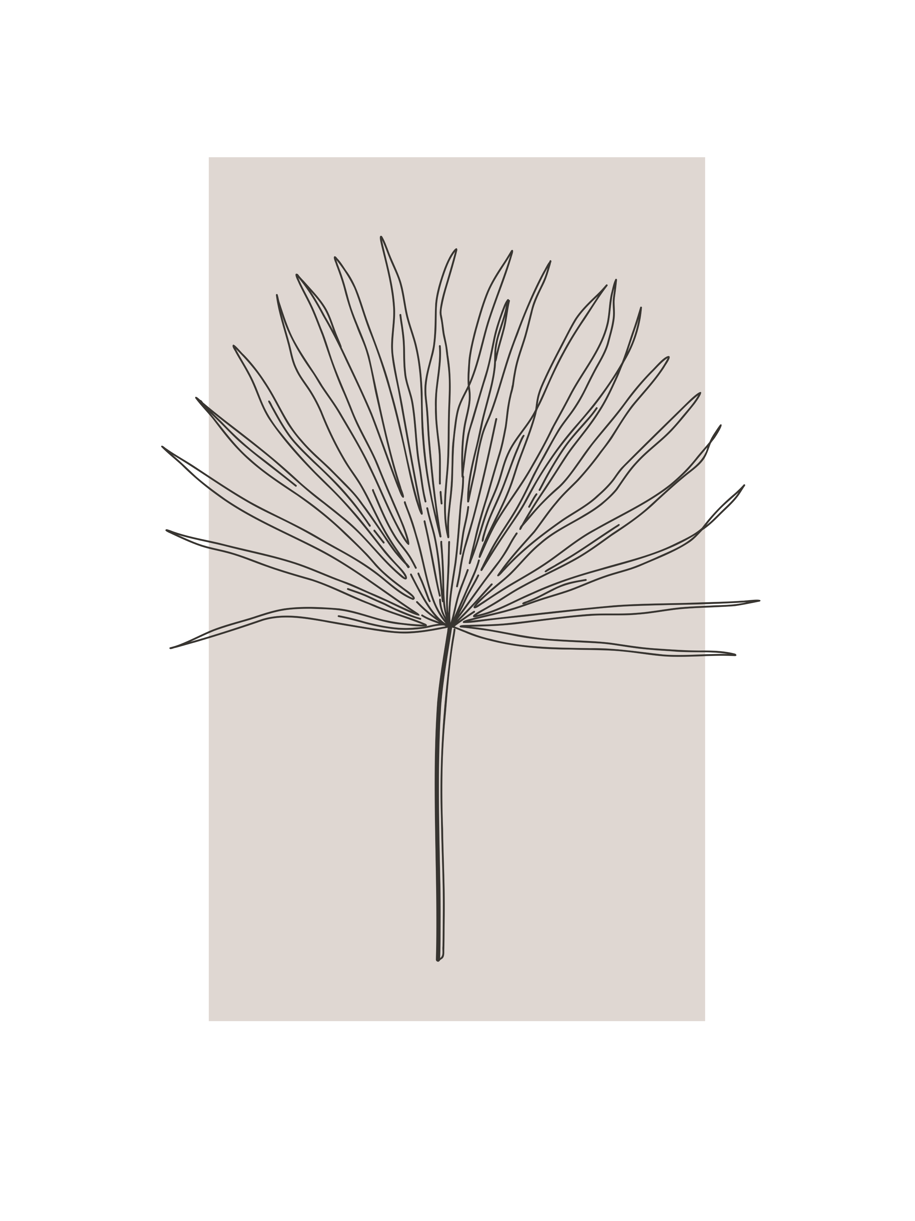 Vinyl Decal, Minimalist Fan Palm (5" x 7")