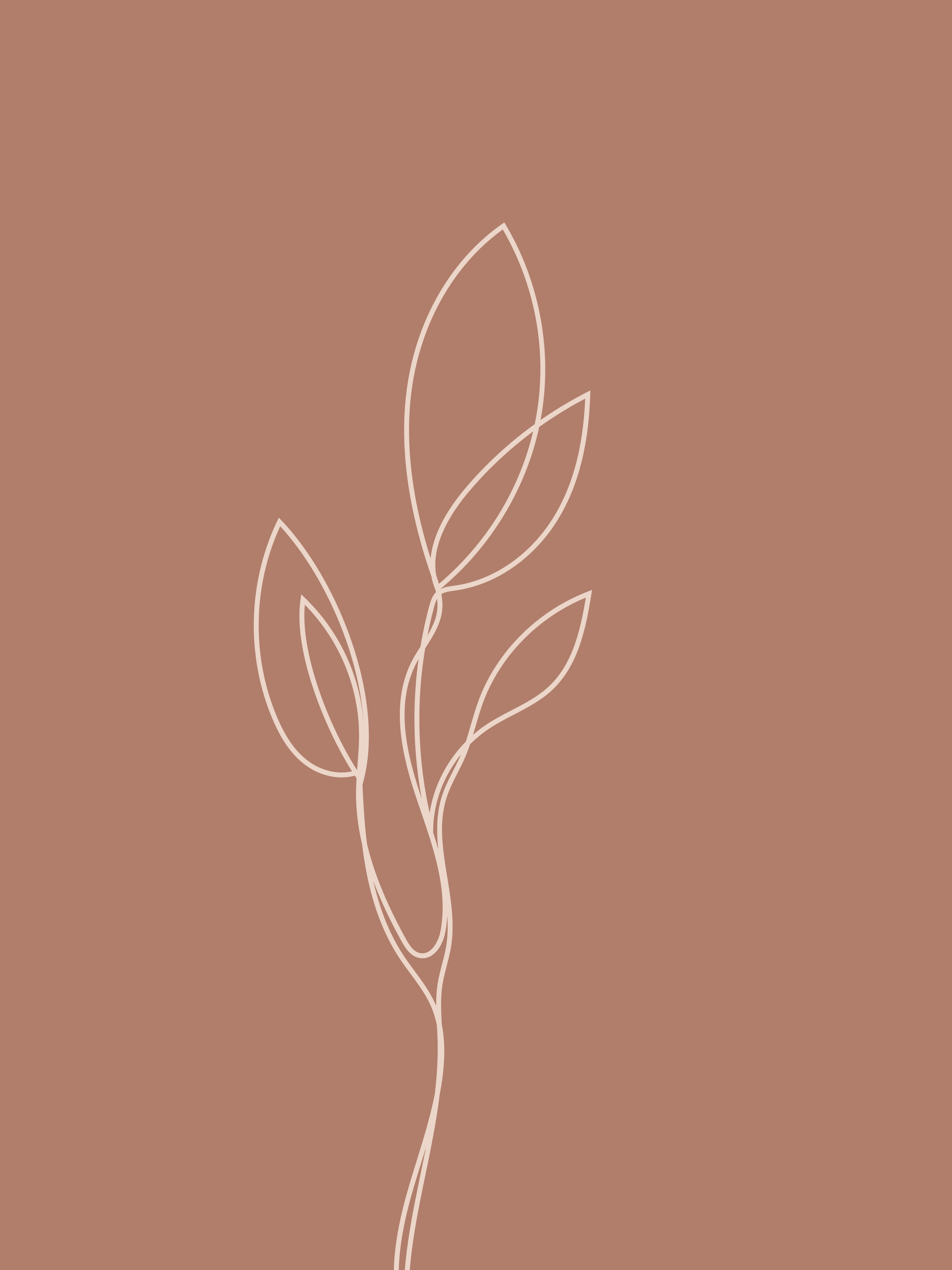 Vinyl Decal, Outline Of Growth (5" x 7")
