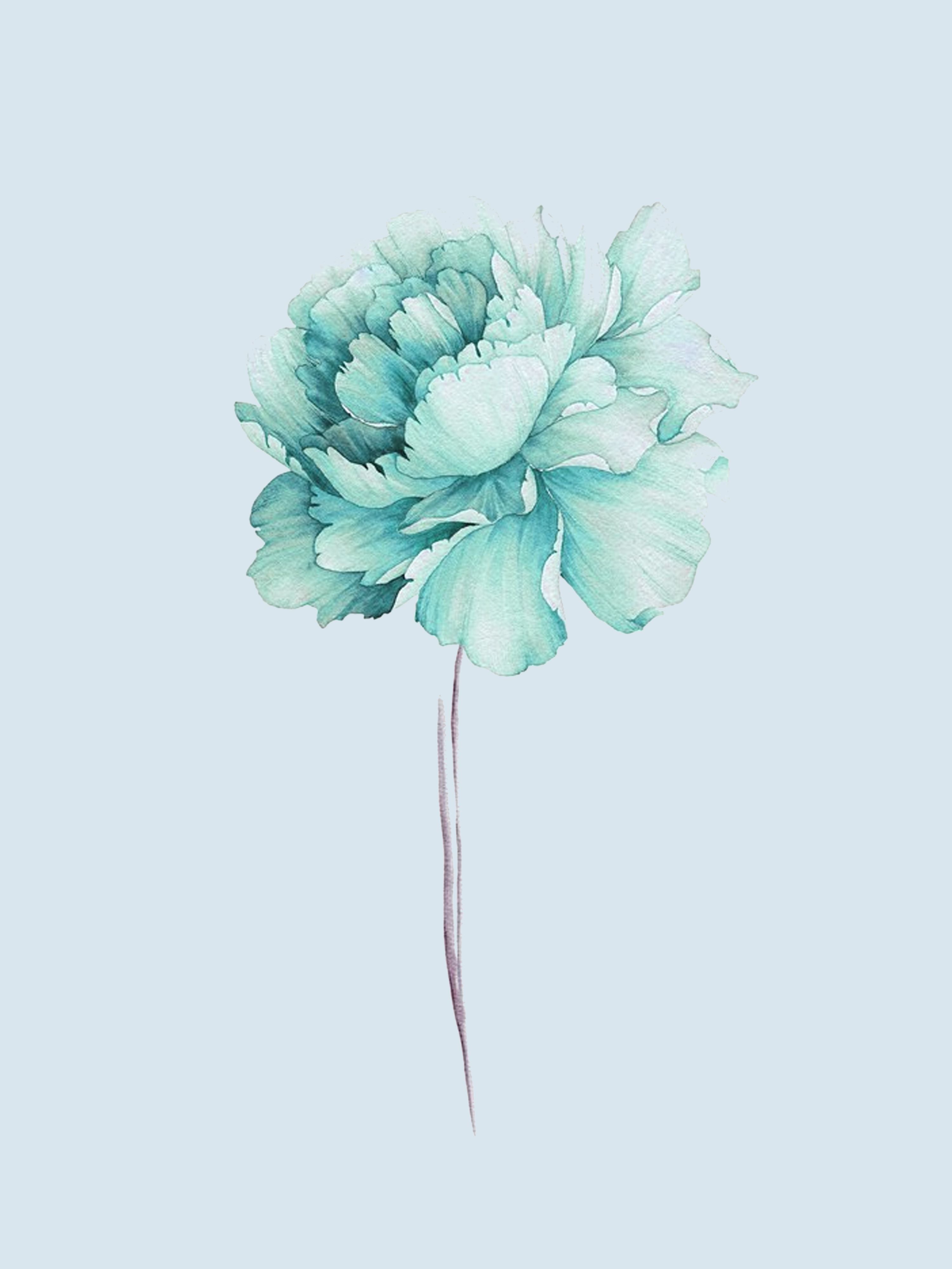 Vinyl Decal, Minimalist Floral Art (5" x 7")