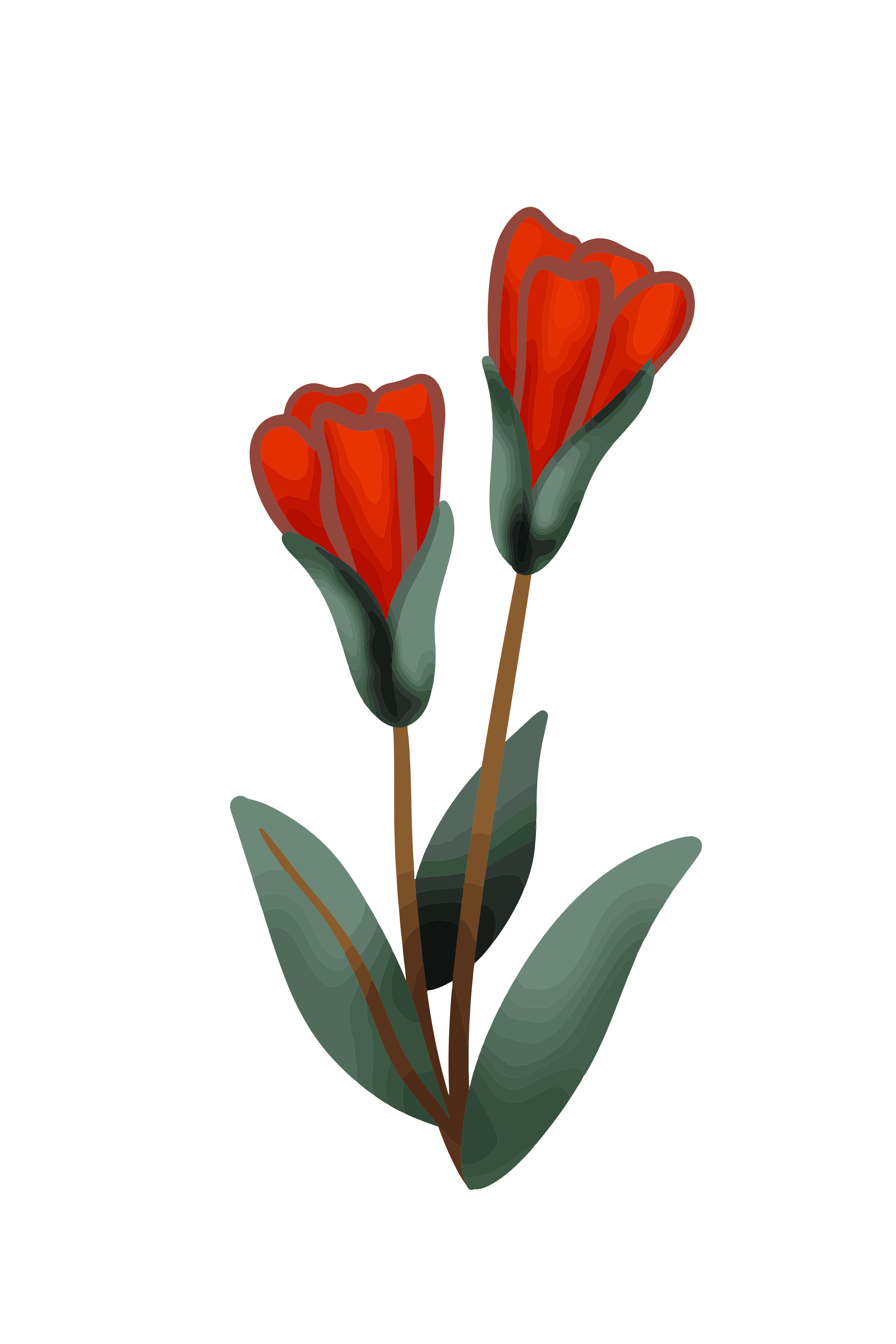 Vinyl Decal, Vibrant Tulip Art. (5" x 7")
