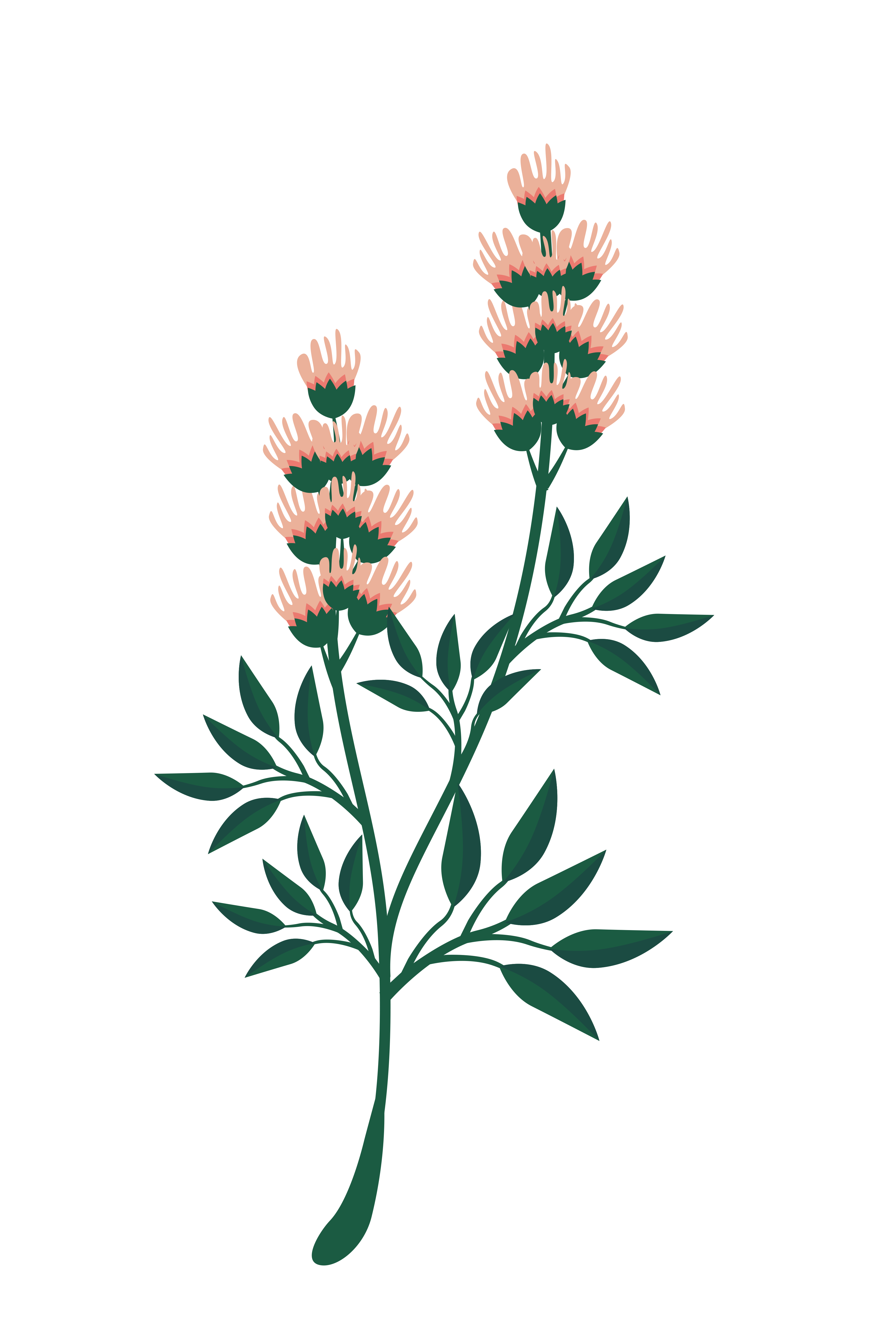 Vinyl Decal, Nature Graphic Art (5" x 7")