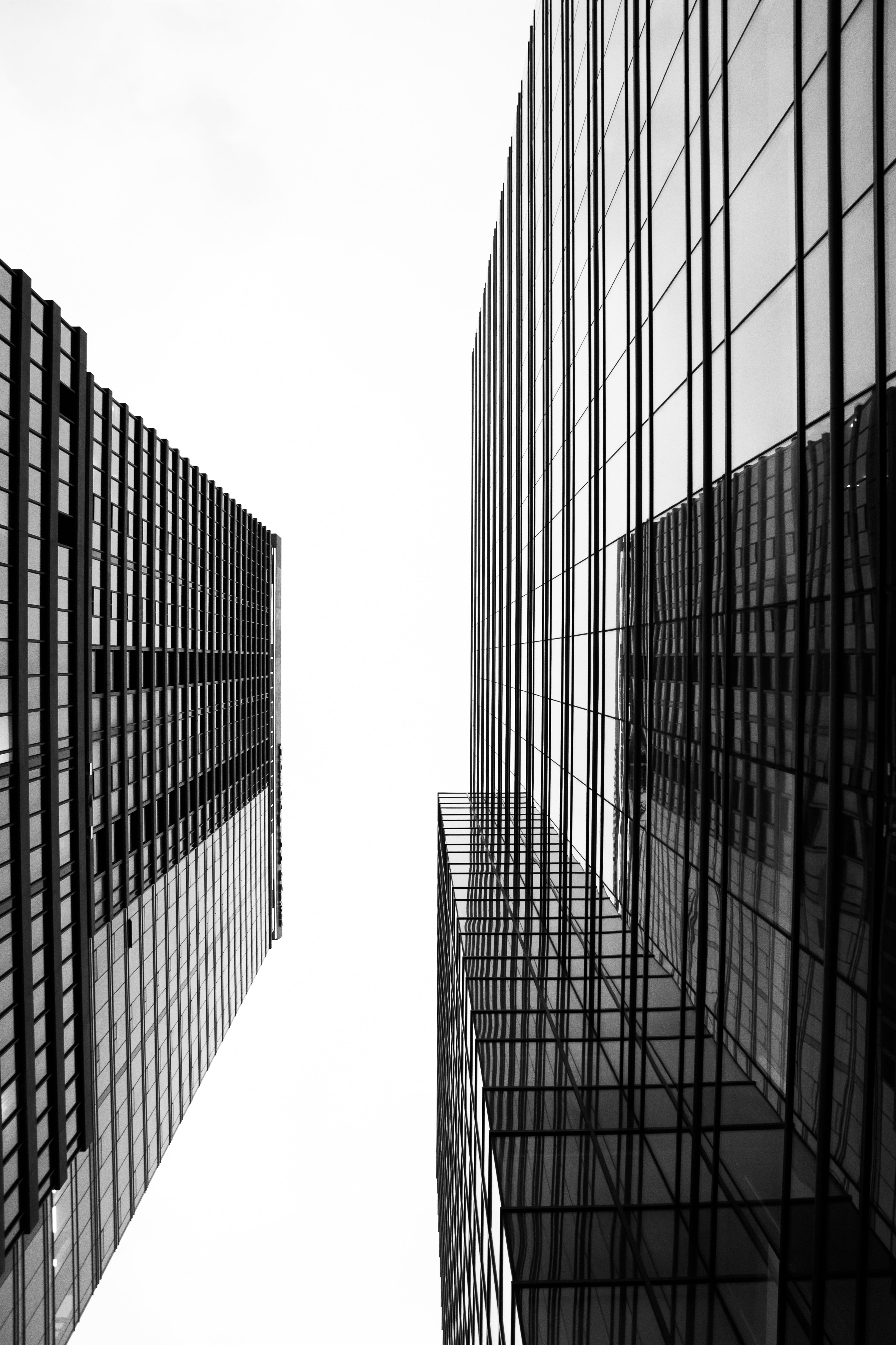 Vinyl Decal, The Tall Buildings (5" x 7")