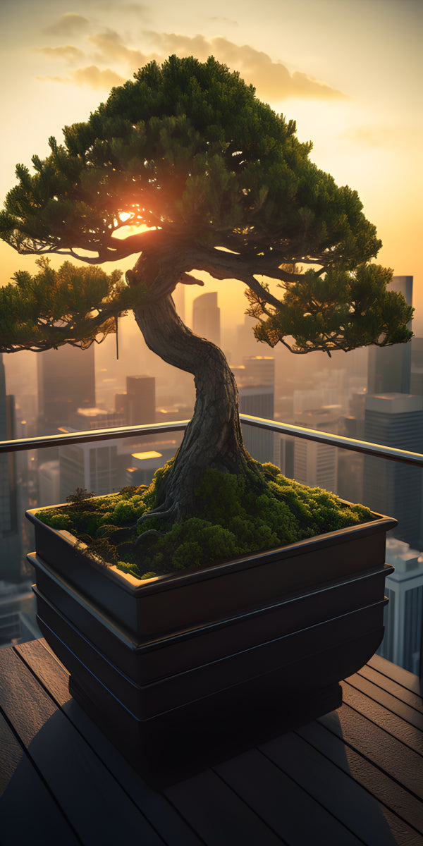 Vinyl Decal, Stunning Japanese Style Bonsai Tree in Pot, Realistic Indoor/Outdoor Plant Decor (5" x 