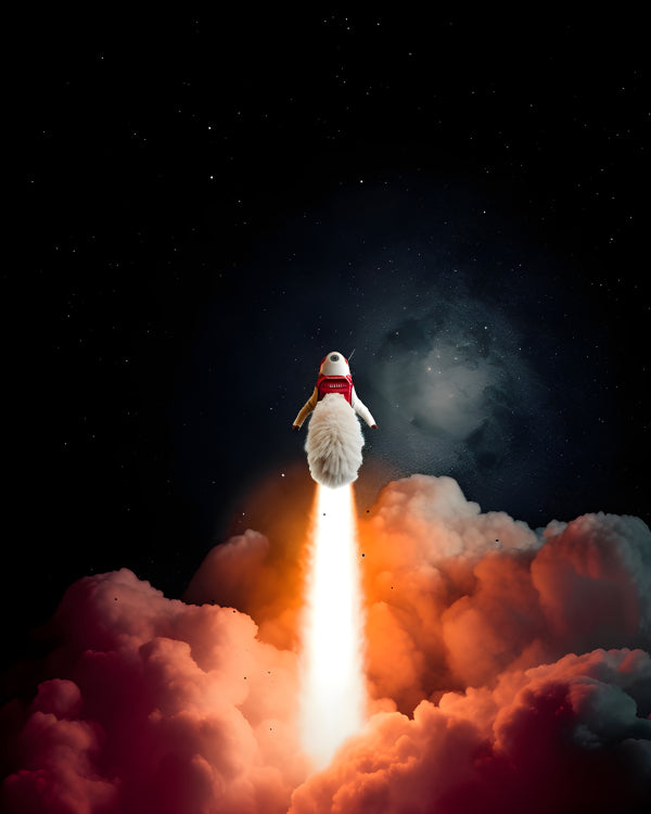 Vinyl Decal, Cute Animal Astronaut Space Launch Wall Art Poster, 5 x 7 or 8 x 10 Inch Unframed Poste