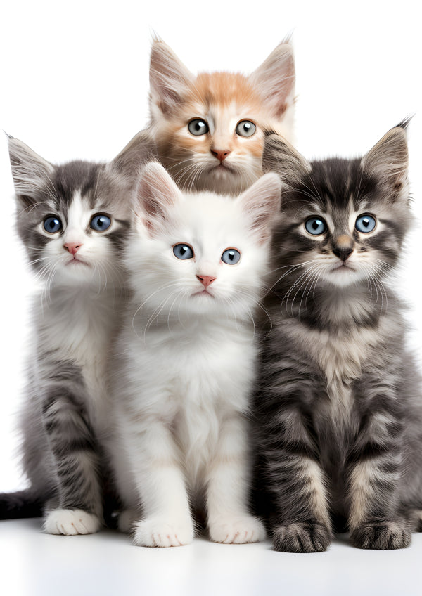 Vinyl Decal Five Adorable Fluffy Kittens: Grey Tabby, White, and Orange Tabby Mix, Cute Feline Frien