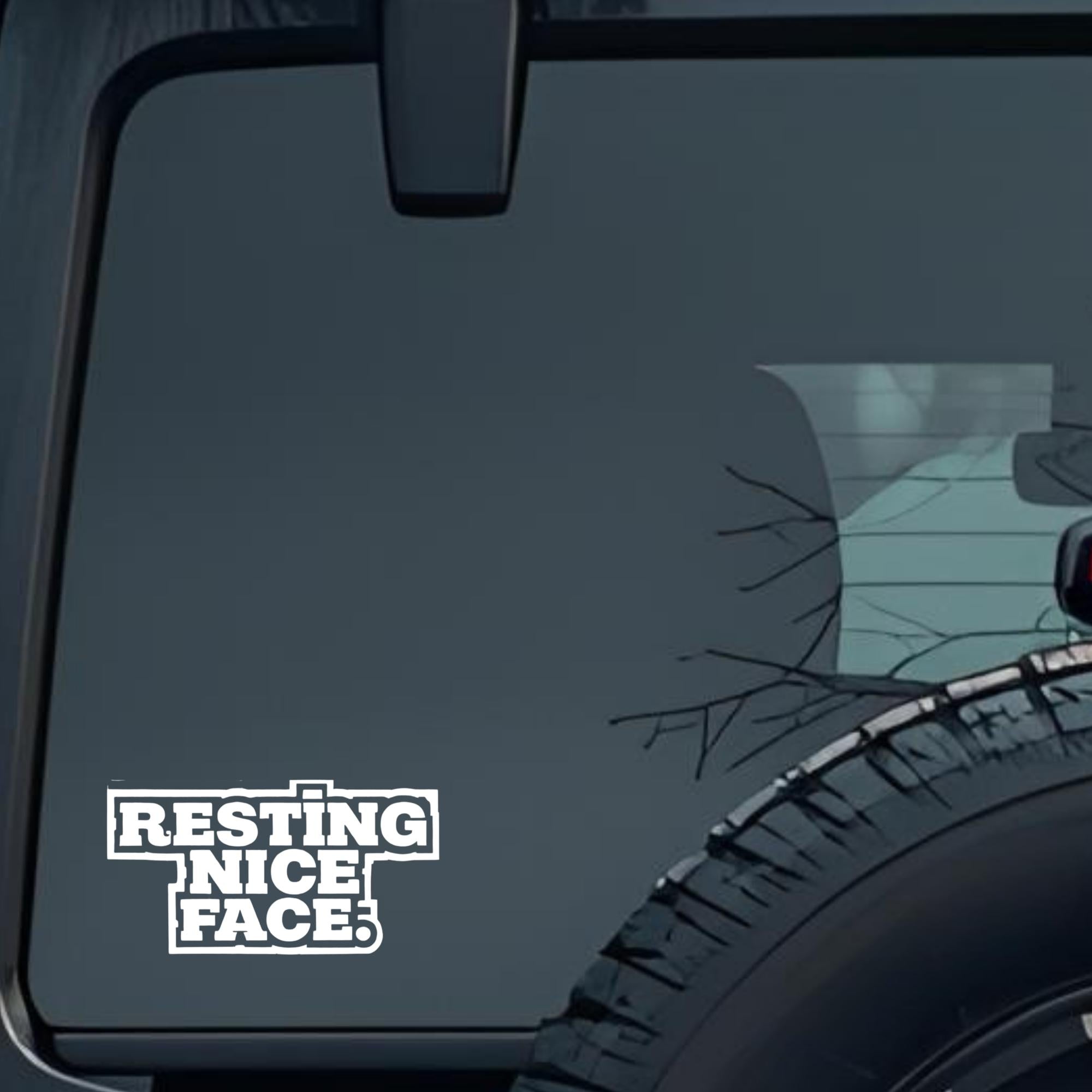 Resting Nice Face. Large 6 inch Premium Decal Sticker For Car Bumper Window Rear Windshield Stickers