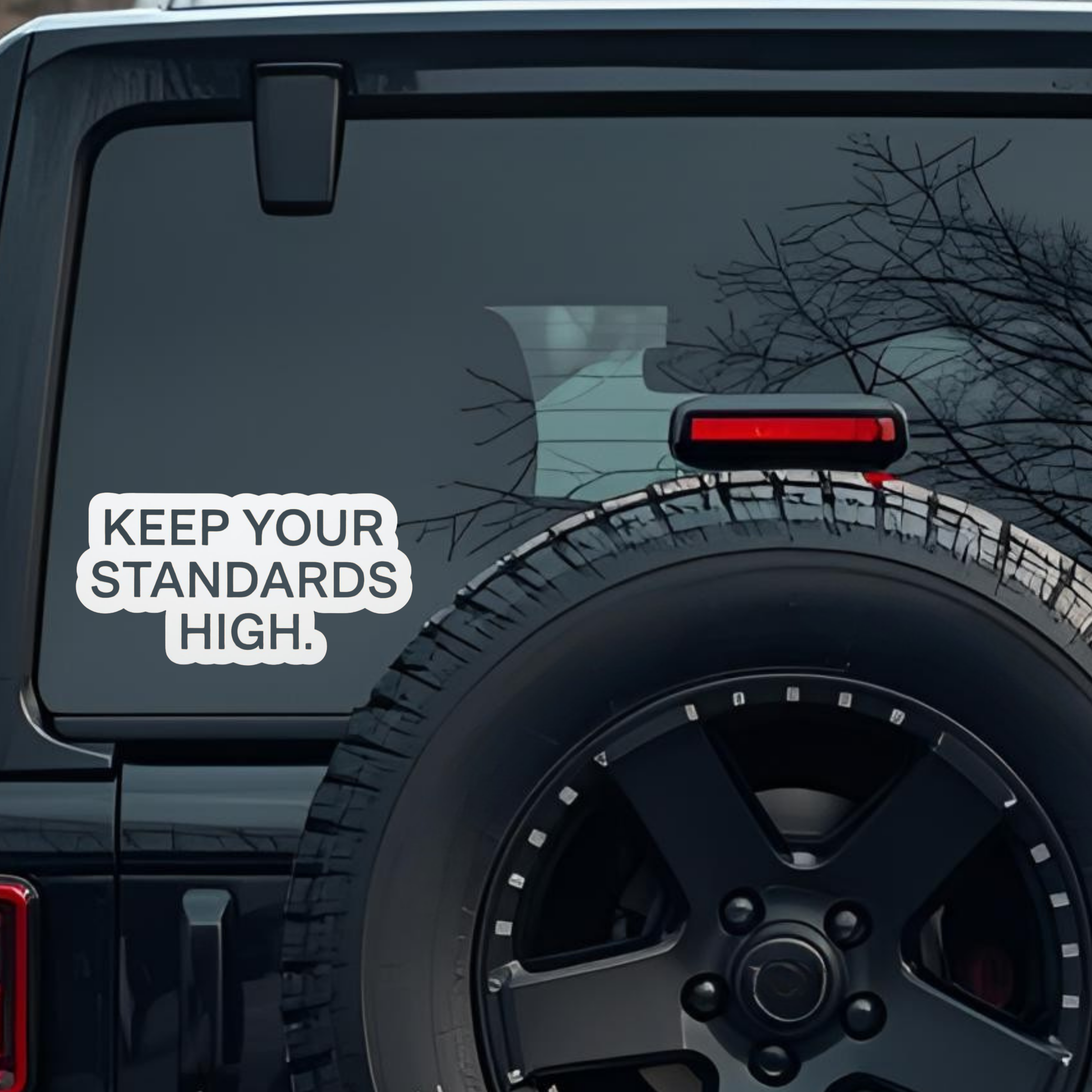 Keep Your Standards High. Large 6 inch Premium Decal Sticker For Car Bumper Window Rear Windshield S