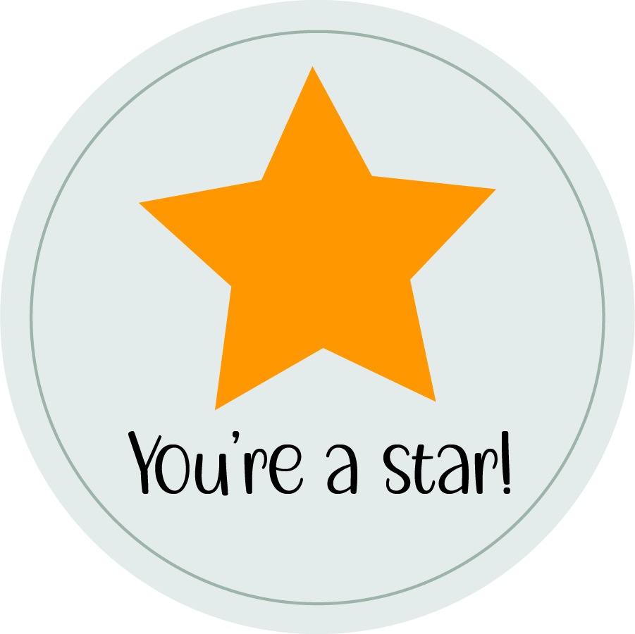 Inspirational Quote "You're A Star!" Motivational Sticker Vinyl Decal Motivation Stickers- 5" Vinyl Sticker Waterproof