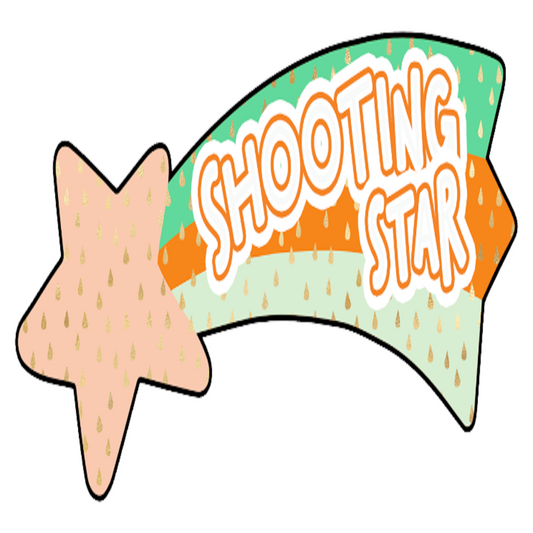 Inspirational Quote "Shooting Star" Motivational Sticker Vinyl Decal Motivation Stickers- 5" Vinyl Sticker Waterproof