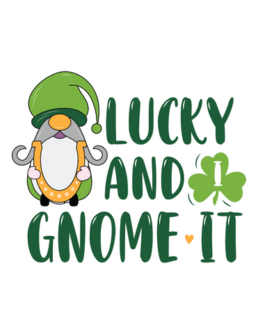 Inspirational Quote Lucky and Gnome It Motivational Sticker Vinyl Decal Motivation Stickers- 5