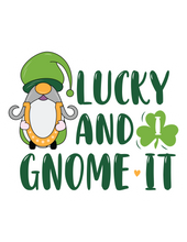 Inspirational Quote Lucky and Gnome It Motivational Sticker Vinyl Decal Motivation Stickers- 5