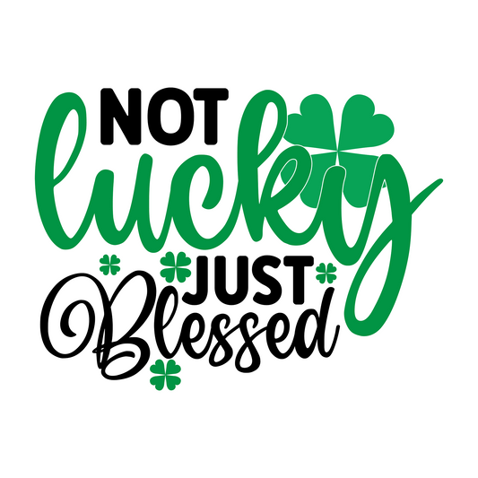 Inspirational Quote Not Lucky Just Blessed. Motivational Sticker Vinyl Decal Motivation Stickers- 5" Vinyl Sticker Waterproof