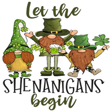 Inspirational Quote Let The Shenanigans Begin. Motivational Sticker Vinyl Decal Motivation Stickers- 5