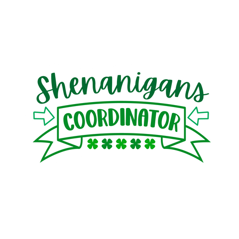 Inspirational Quote Shenanigans Coodenator. Motivational Sticker Vinyl Decal Motivation Stickers- 5